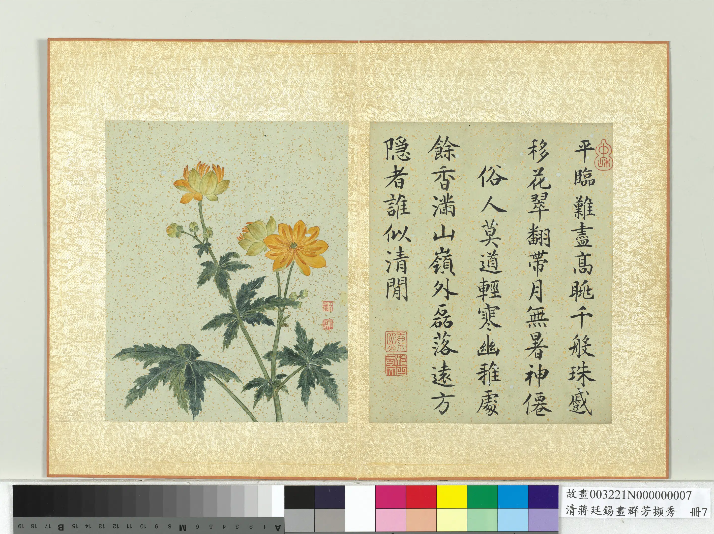 清代【蒋廷锡】《画群芳撷秀册-菊花》