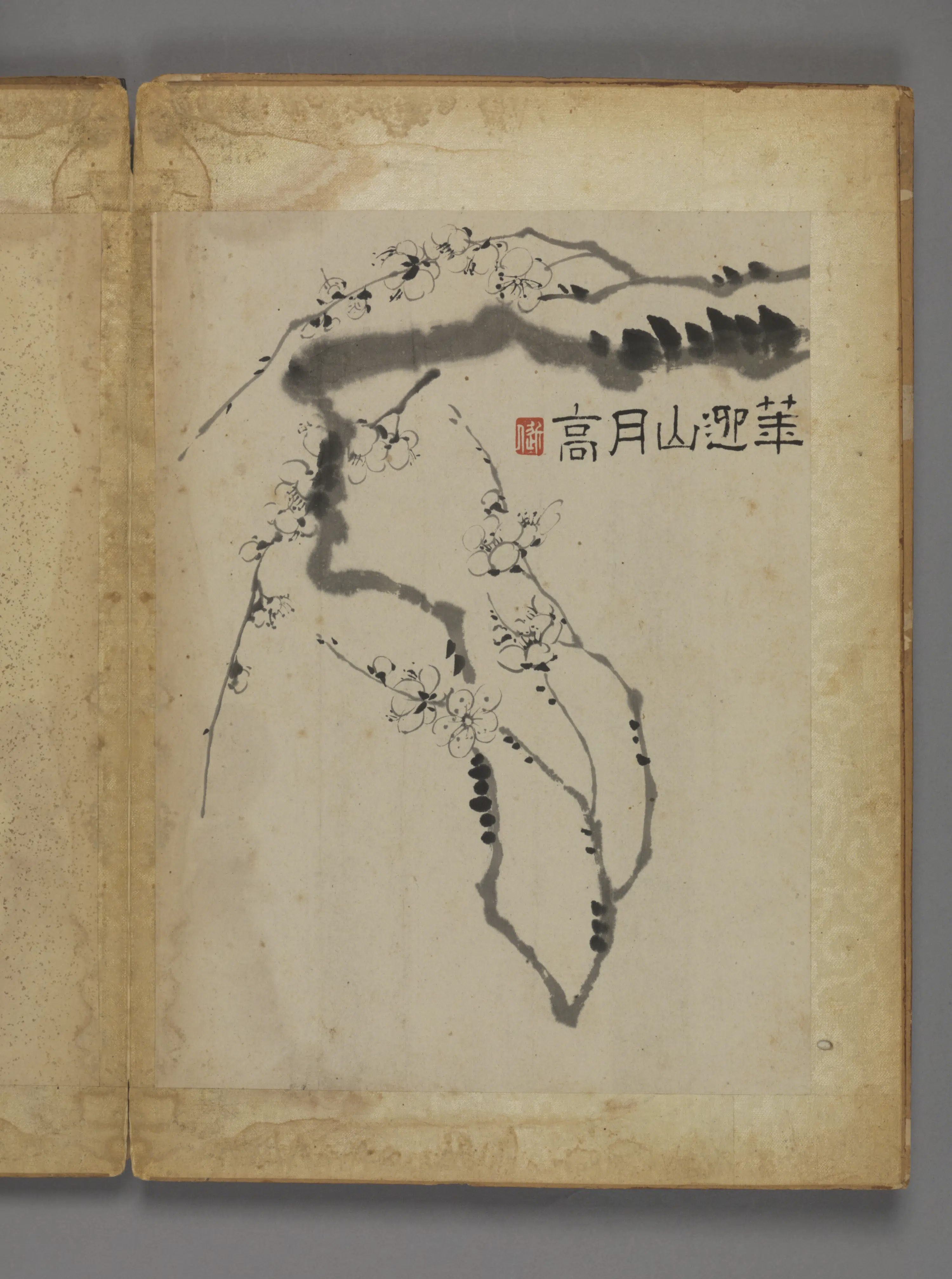 清代【汪士慎】《花卉册(12开)》 第10张 清代【汪士慎】《花卉册(12开)》 第10张