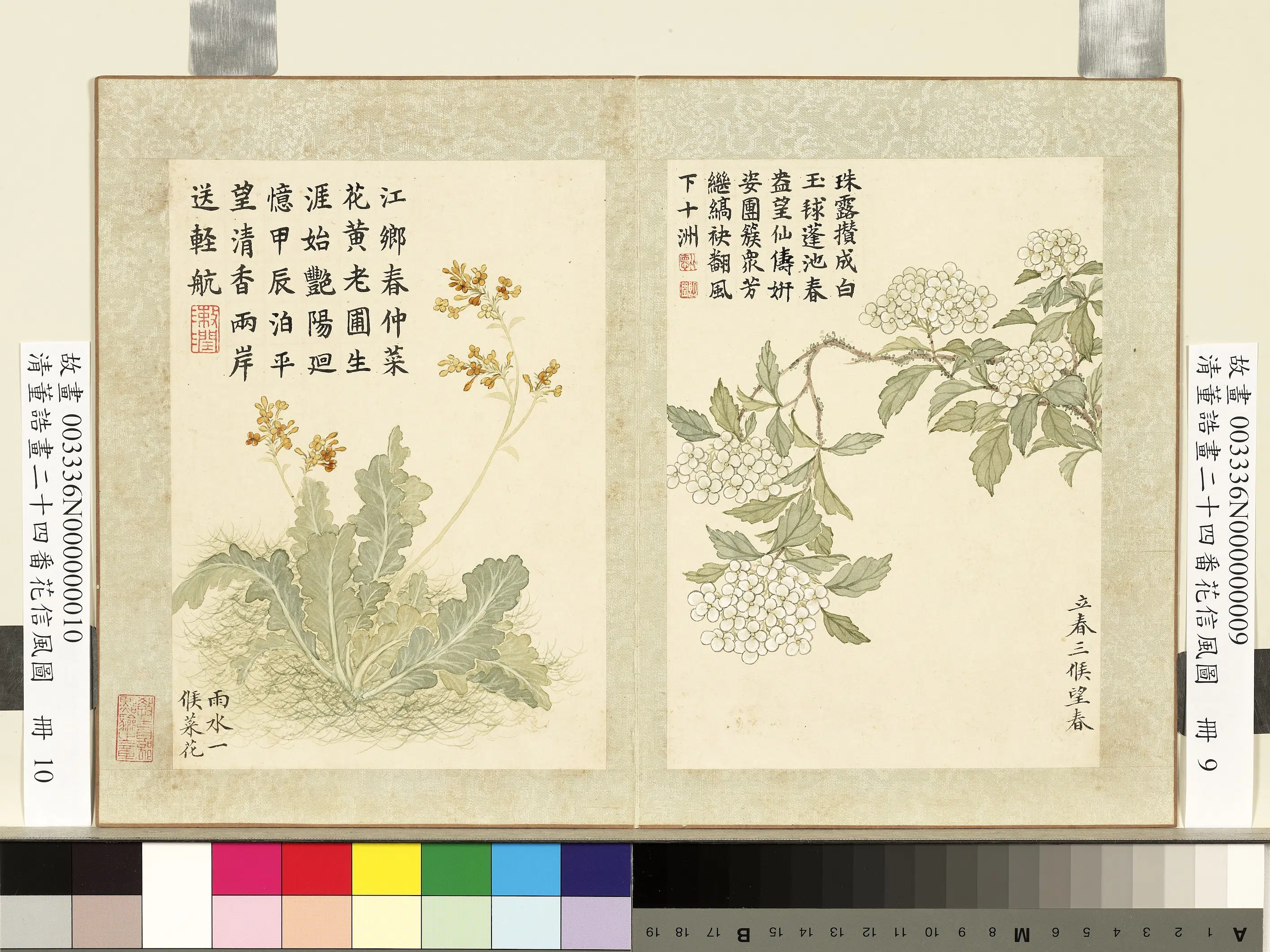 清代【董诰】《二十四番花信风图-12开》 第10张