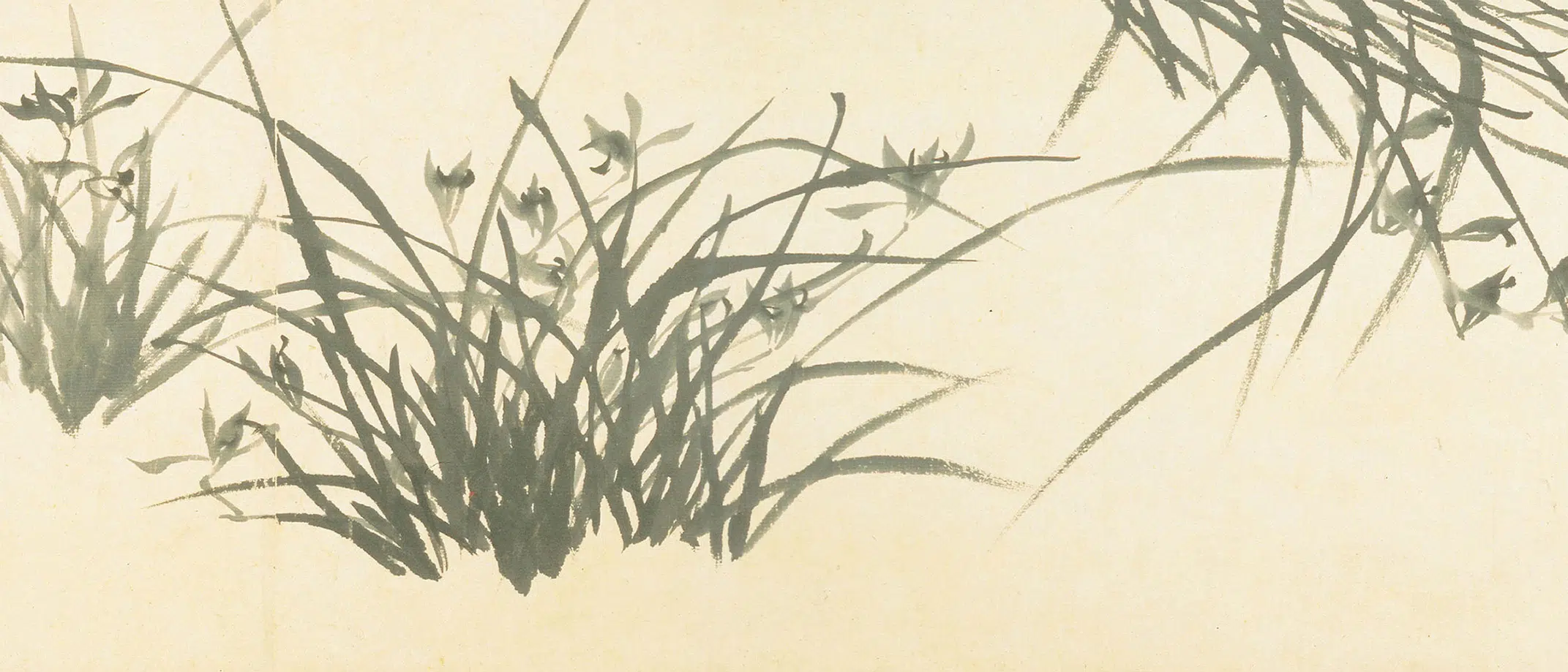 清代【郑板桥（郑燮）】《兰花竹石图卷》 第11张