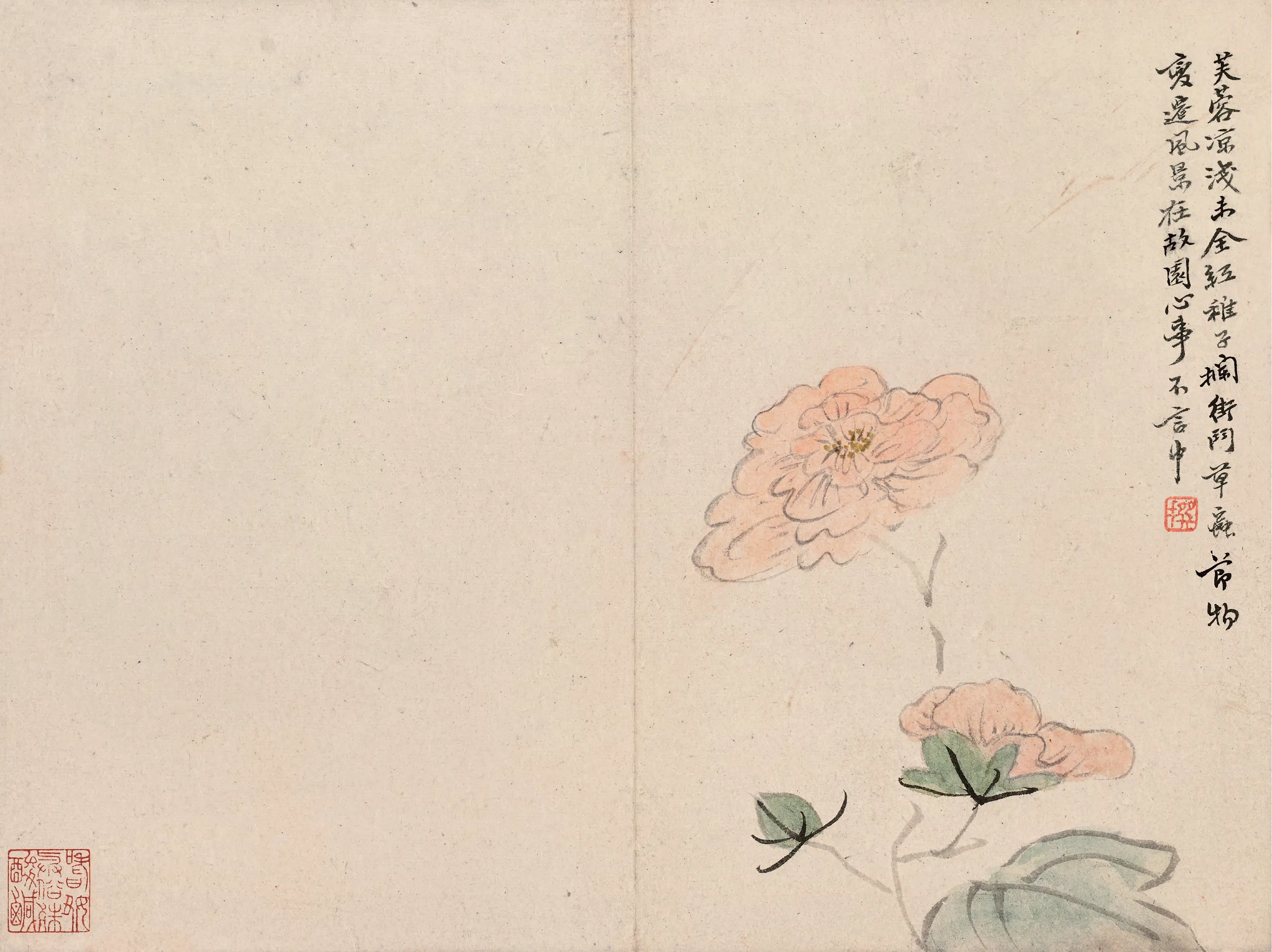 清代【陈撰】《花卉图册-3》 第12张
