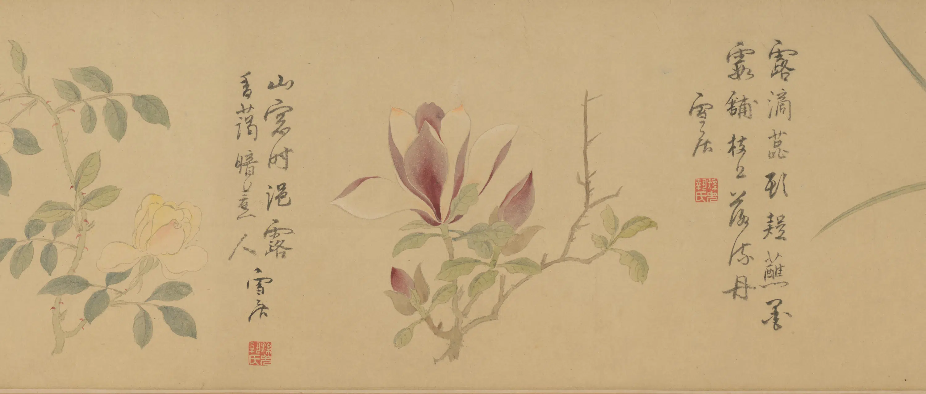 明朝【孙克弘】《百花图卷》 第8张