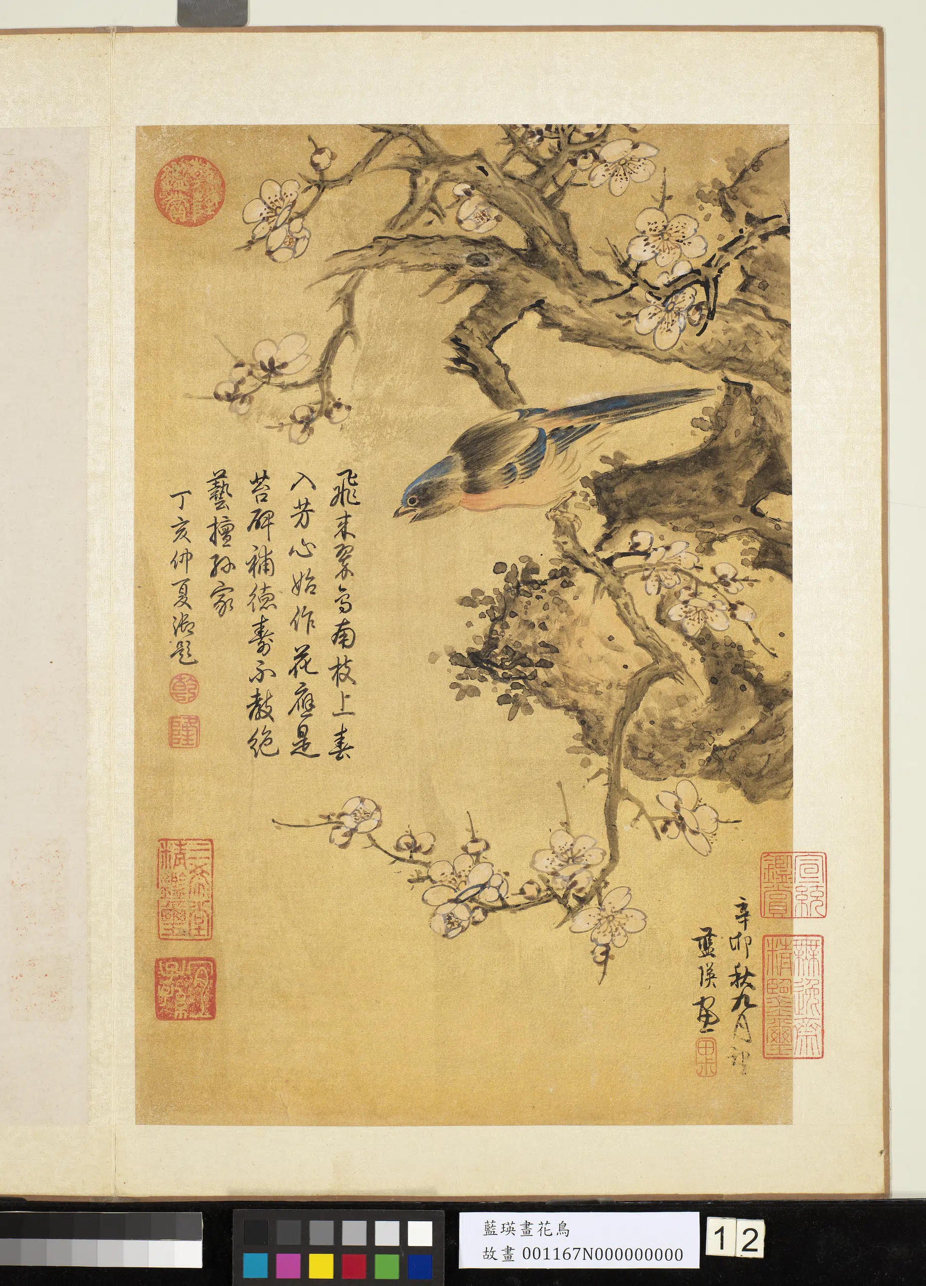 明朝【蓝瑛】《画花鸟册-12开》 第4张 明朝【蓝瑛】《画花鸟册-12开》 第4张