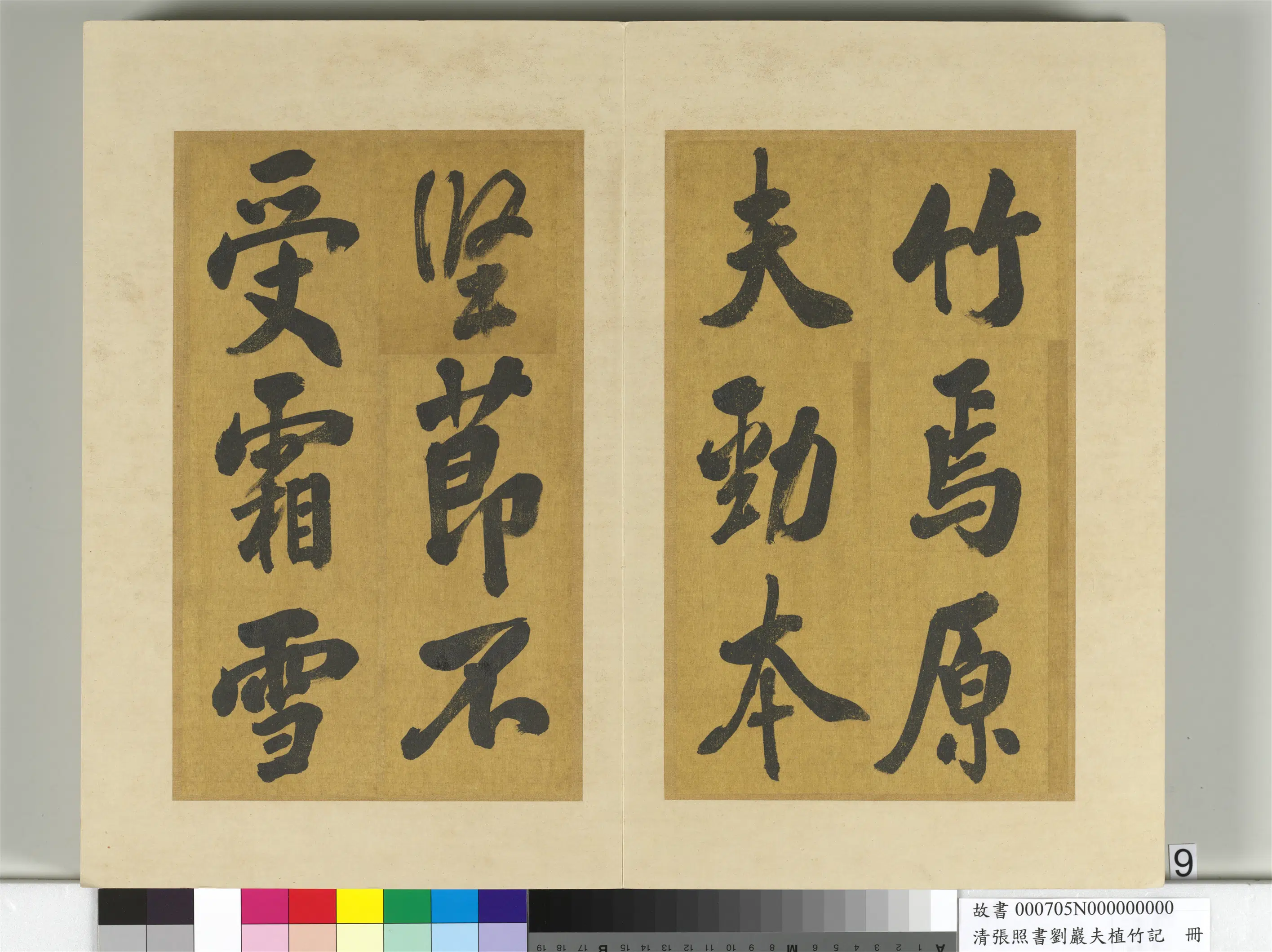 清代【张照】《书刘岩夫植竹记册》 第29张