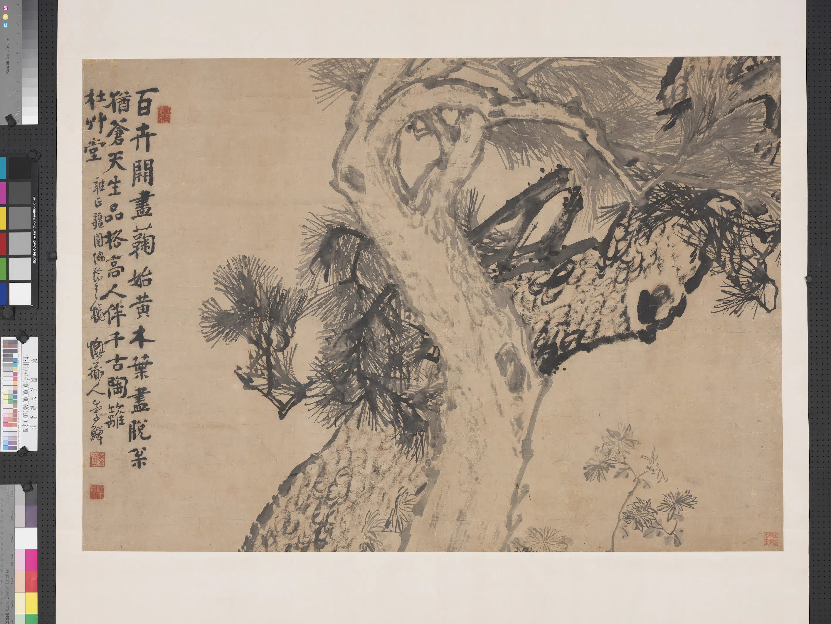 清代【李鱓（鳝\善）】《松菊图轴》