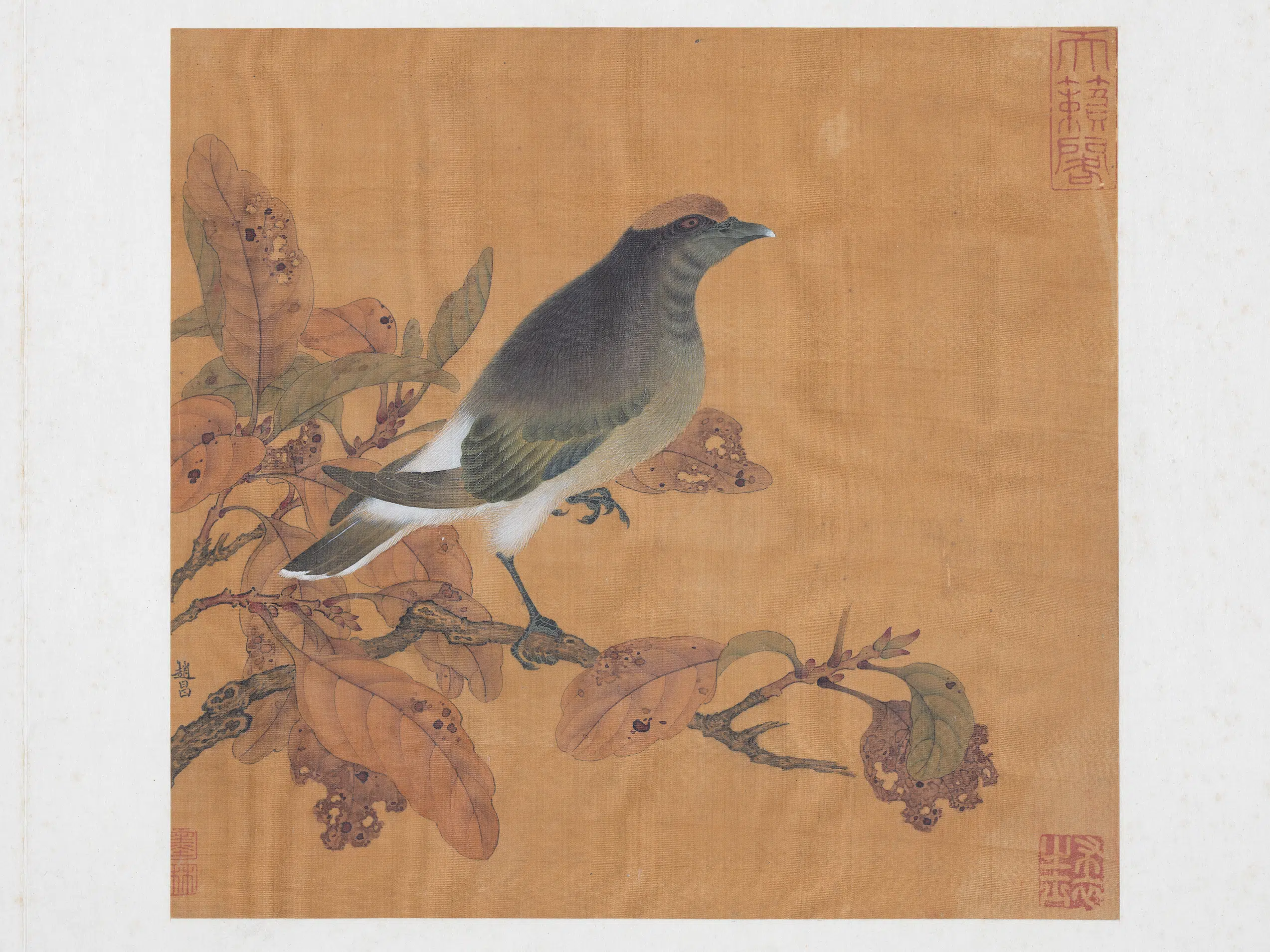 北宋【赵昌】《花鸟图-历代名绘册》
