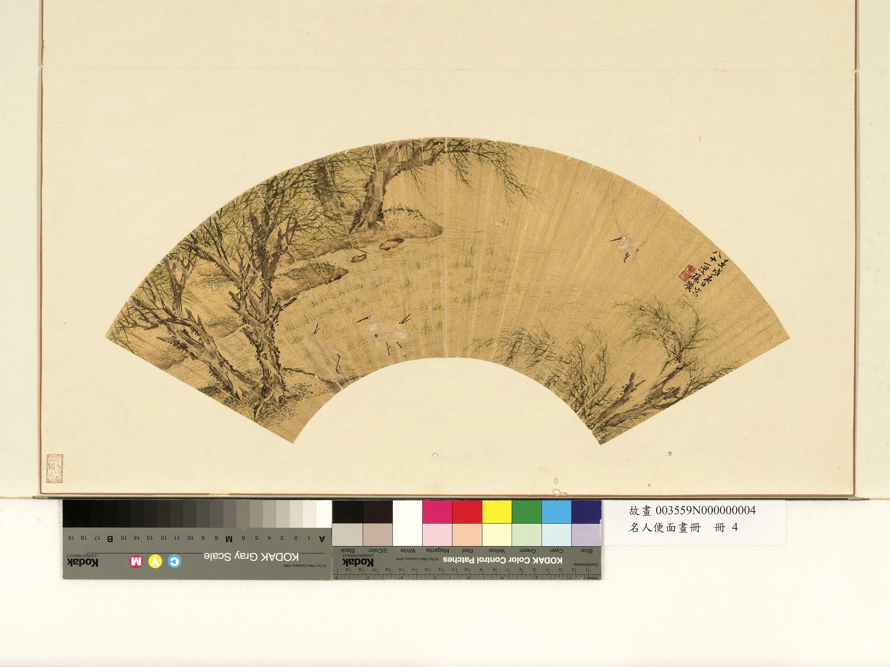 明朝【孙璜】《柳岸鸣鹭图-名人便面画册》
