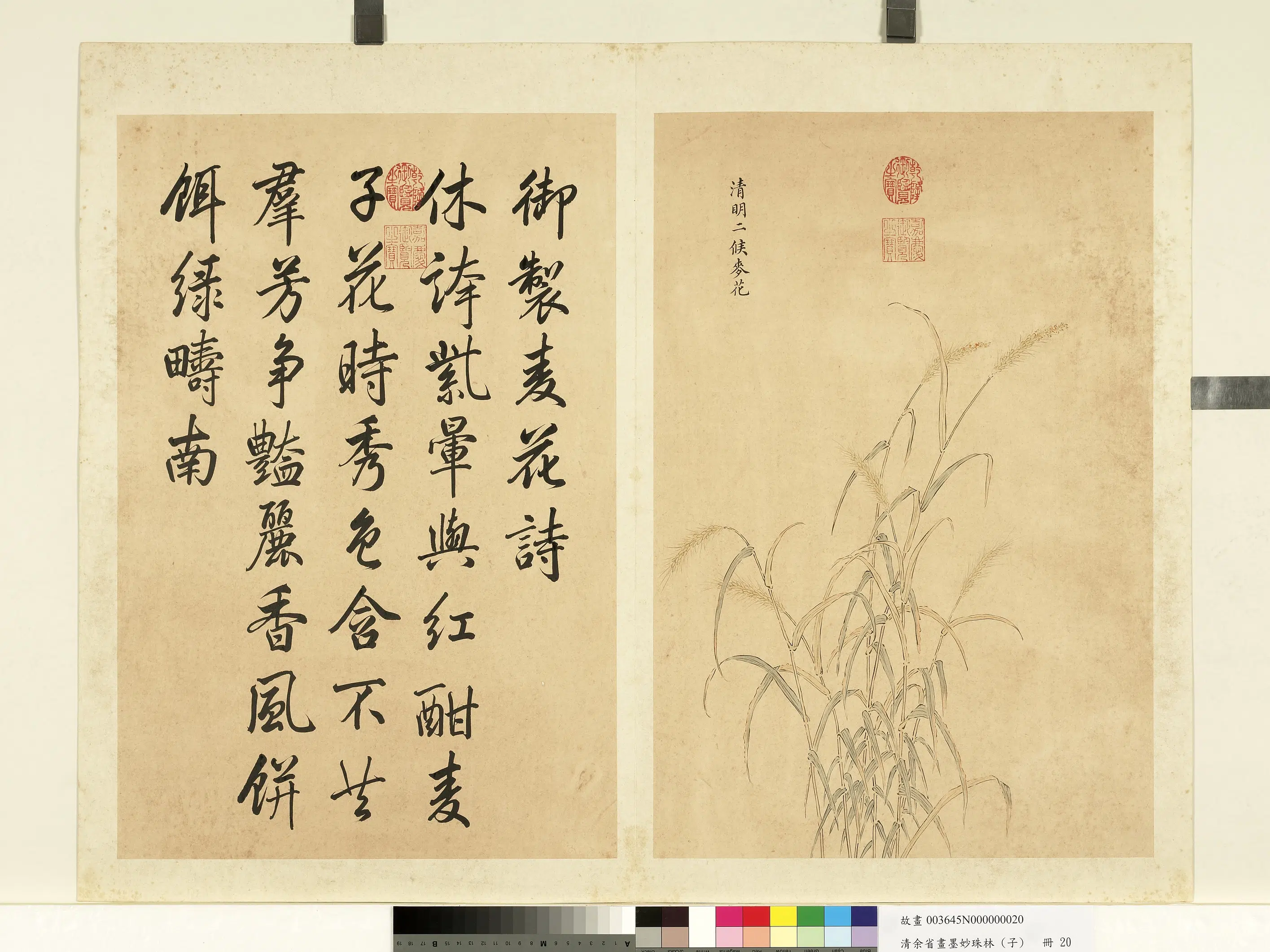 清代【余省】《画墨妙珠林（子）册》 第15张
