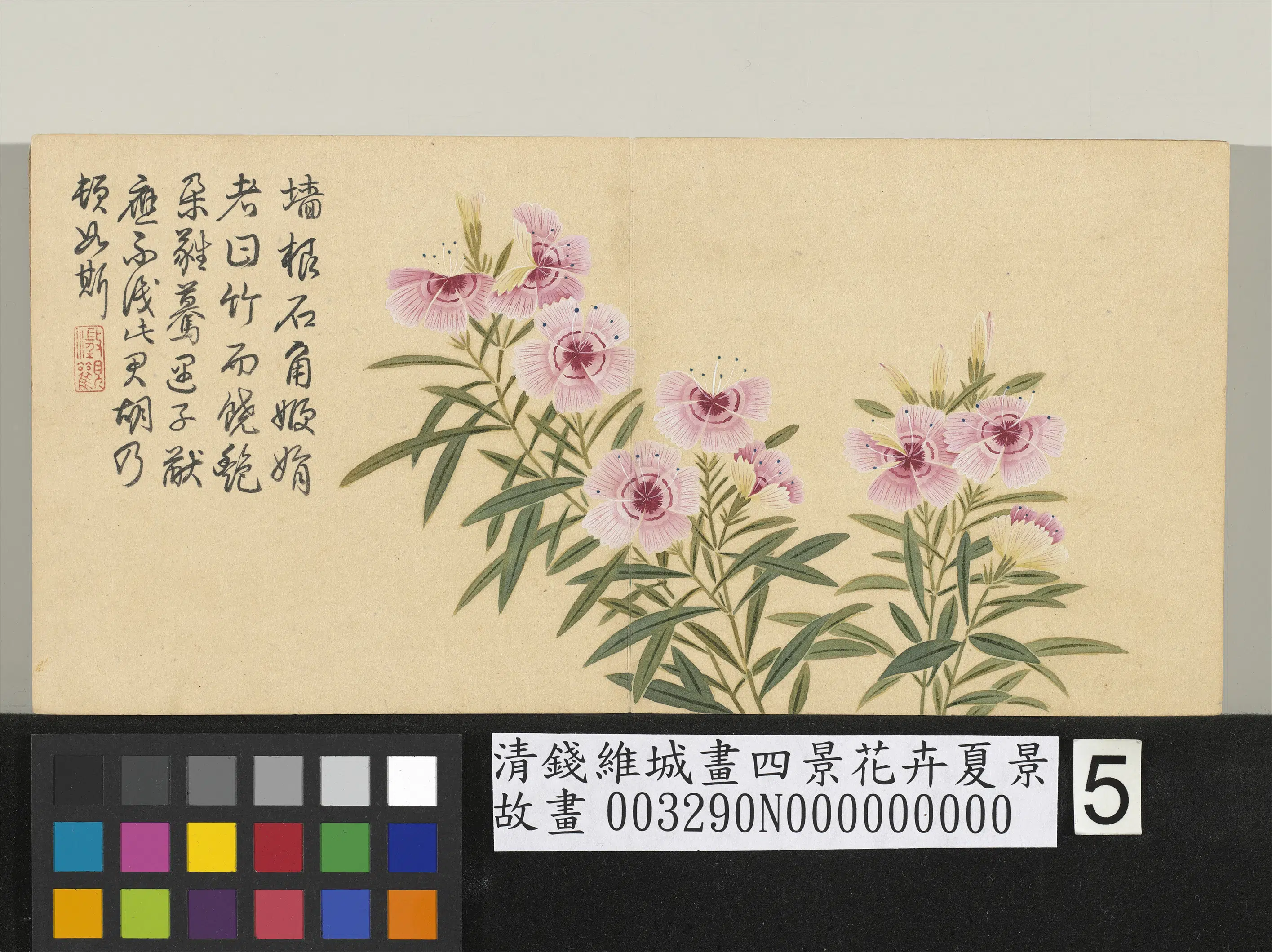 清代【钱维城】《画四景花卉夏景册》 第4张 清代【钱维城】《画四景花卉夏景册》 第4张