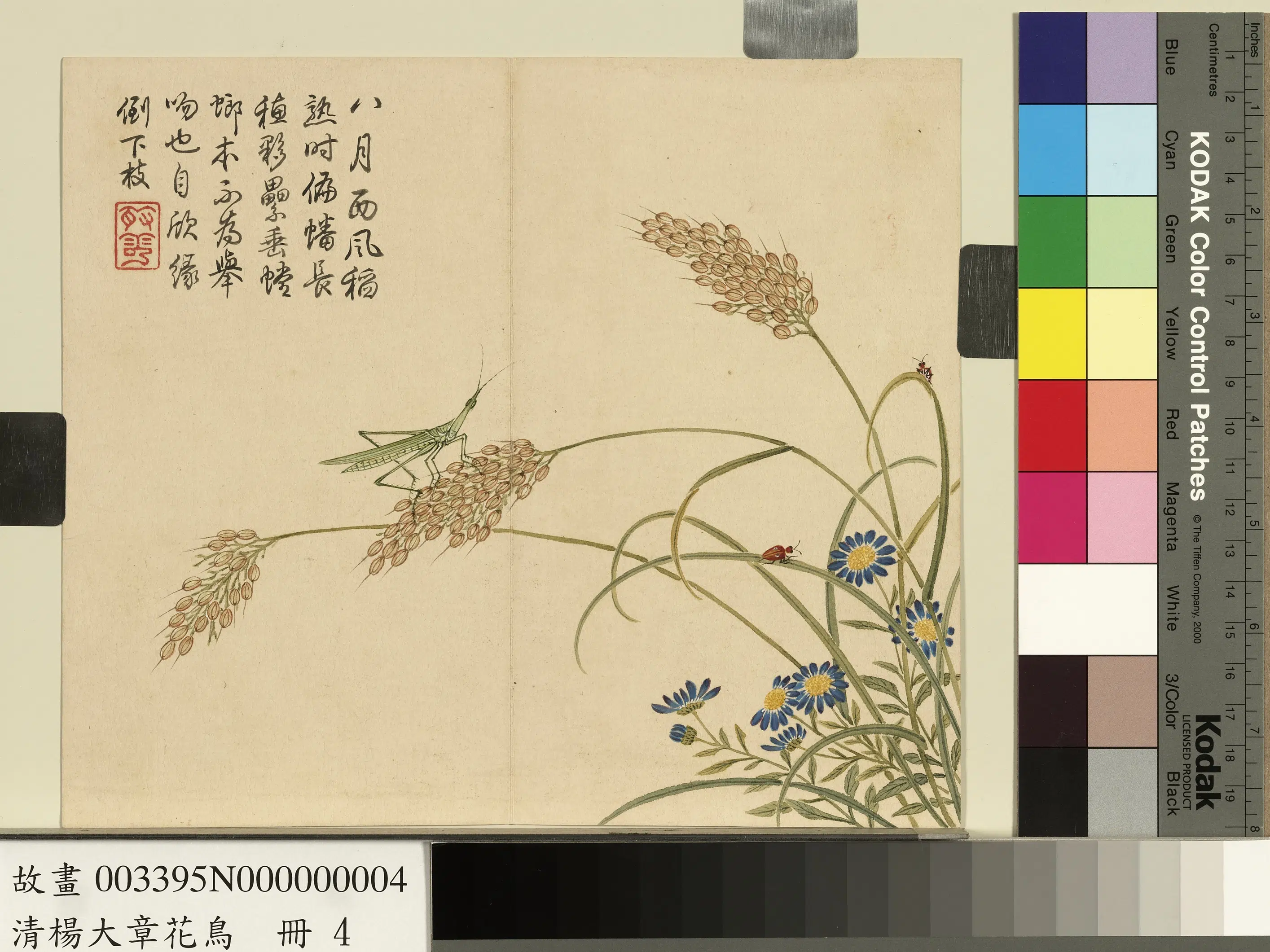 清代【杨大章】《花鸟册》 第5张 清代【杨大章】《花鸟册》 第5张