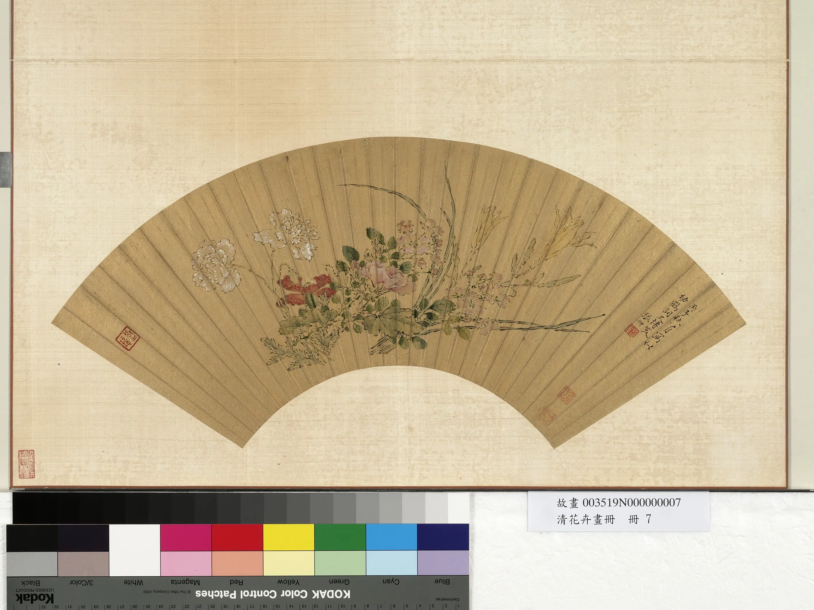 明朝【张翀】《花卉画册-花卉》