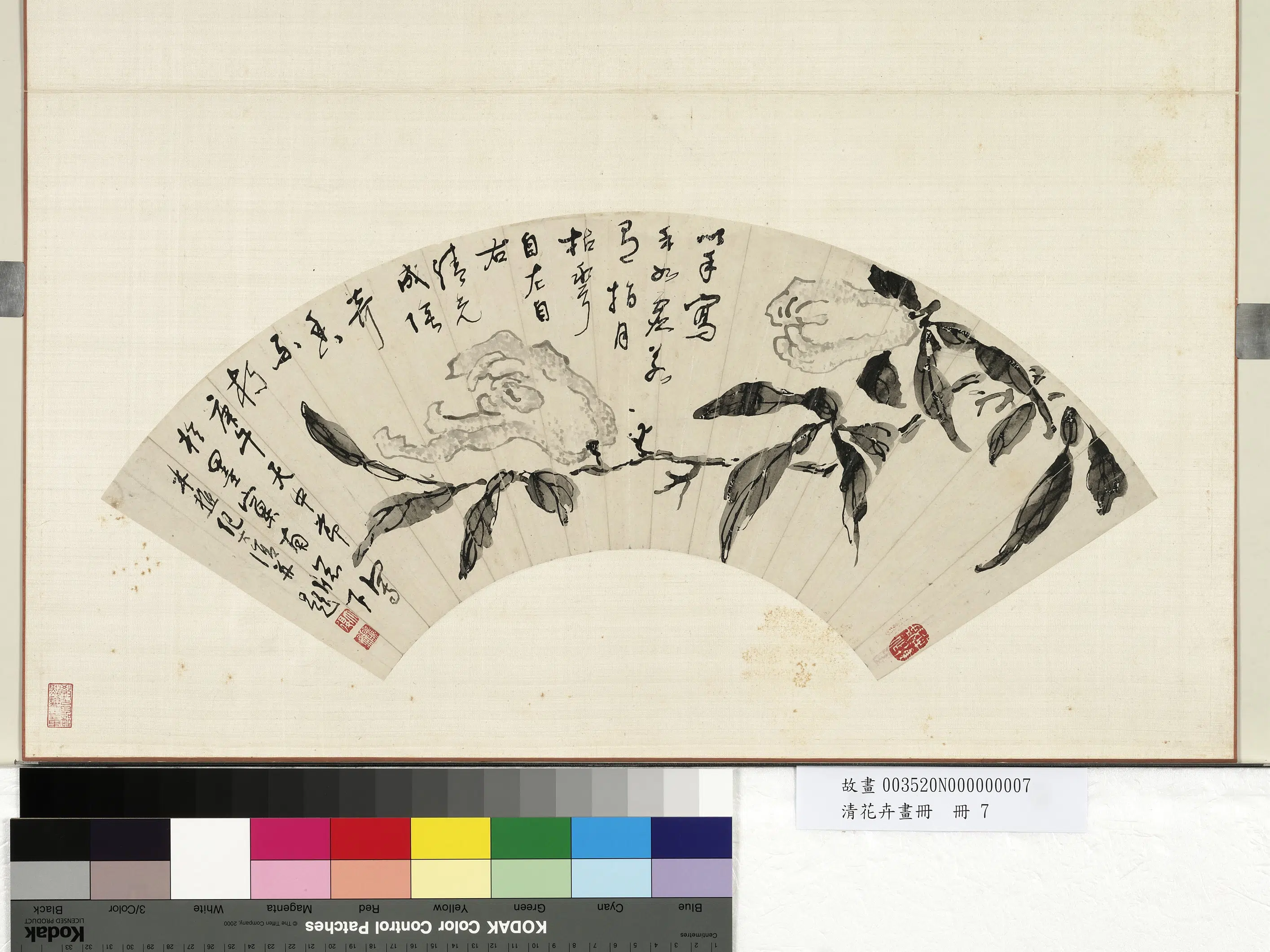 清代【纪大复】《花卉画册-佛手》 第1张