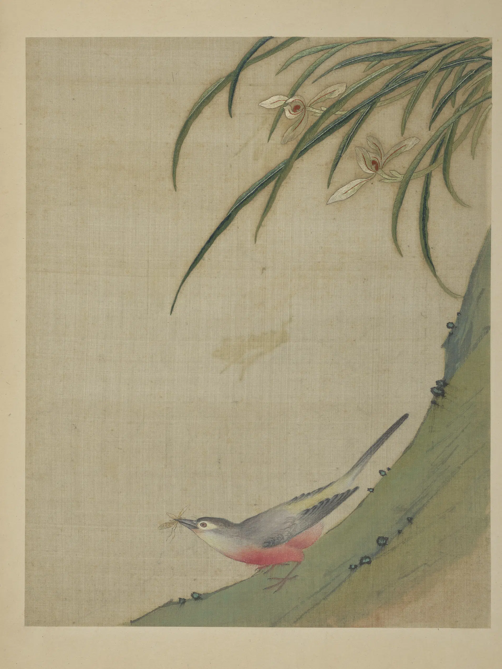 清朝【佚名】《绣绘花鸟册-丛兰山雀》