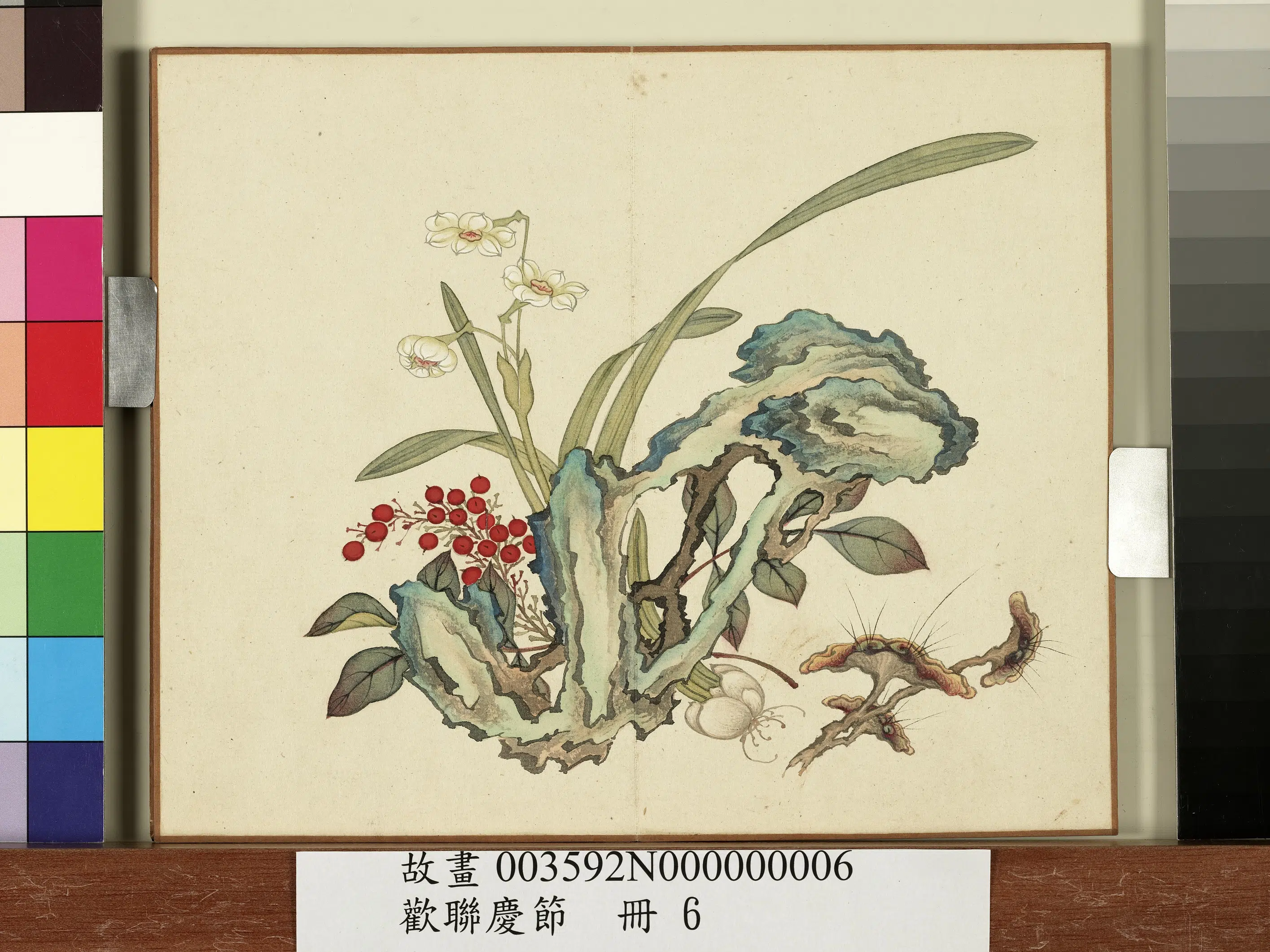 清朝【佚名】《欢联庆节册-仙芝天竺》