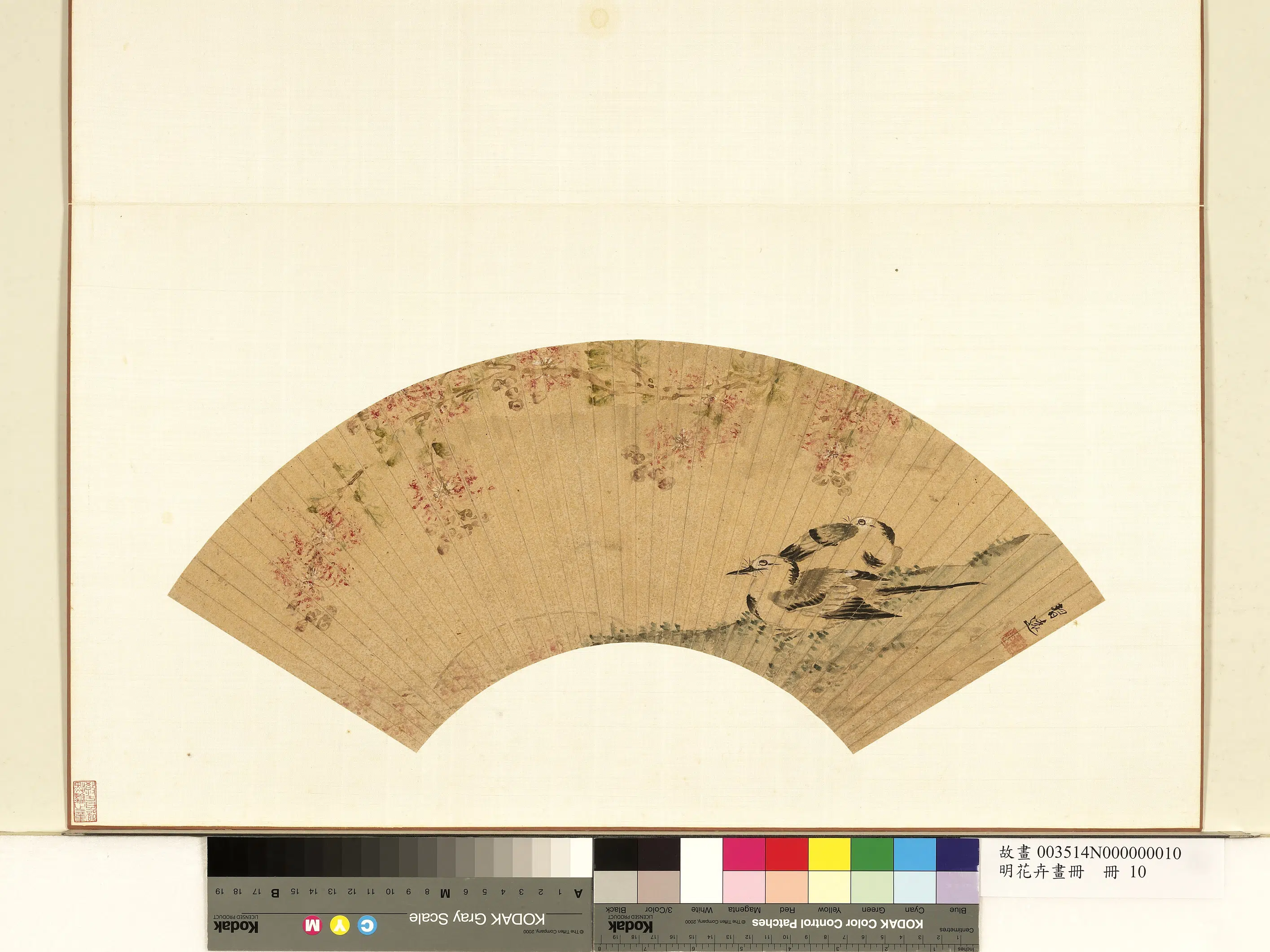 明朝【习远】《明花卉画册-紫薇鹡鸰》