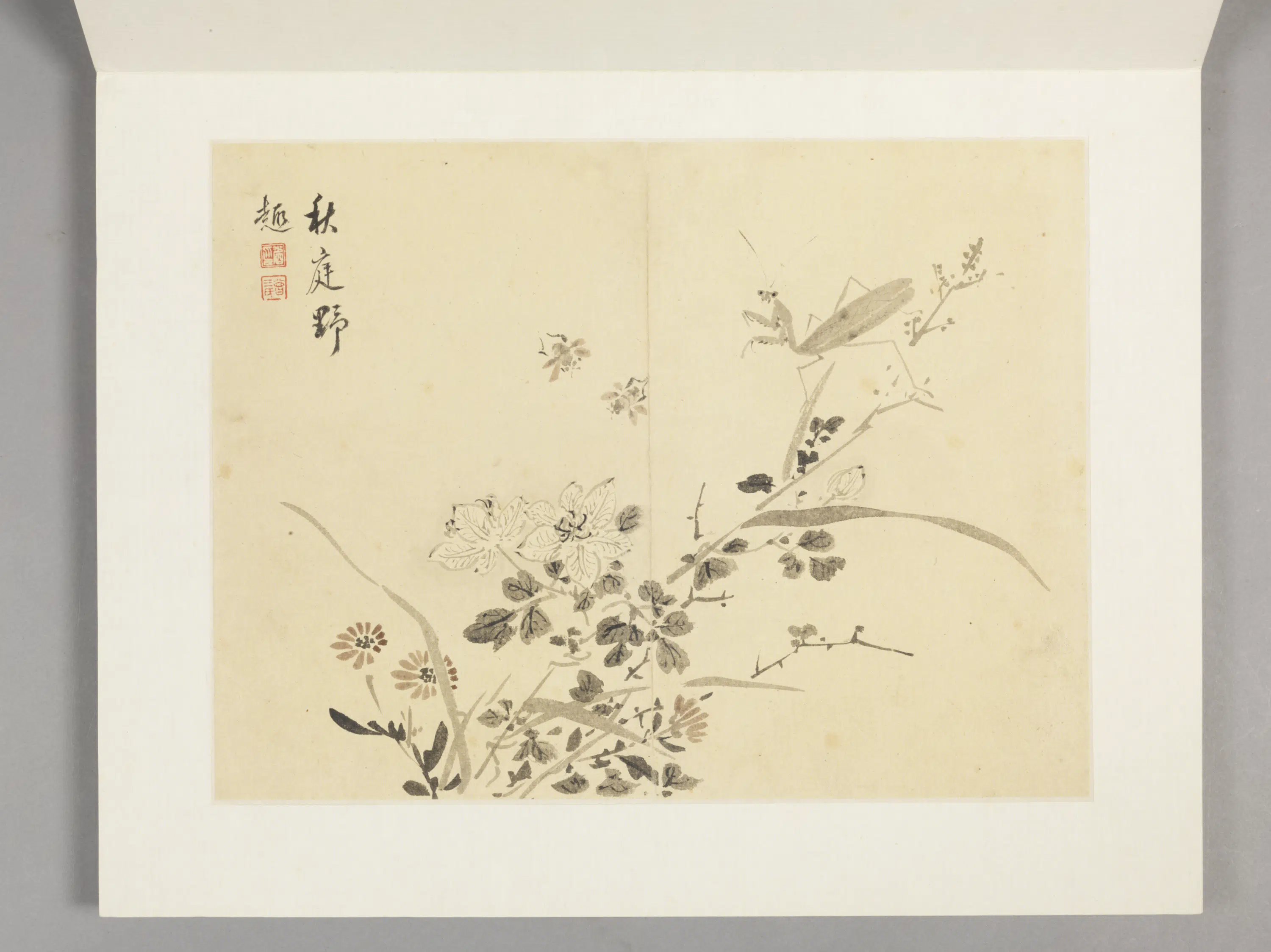 清代【余省】《花卉册（12开）》 第11张