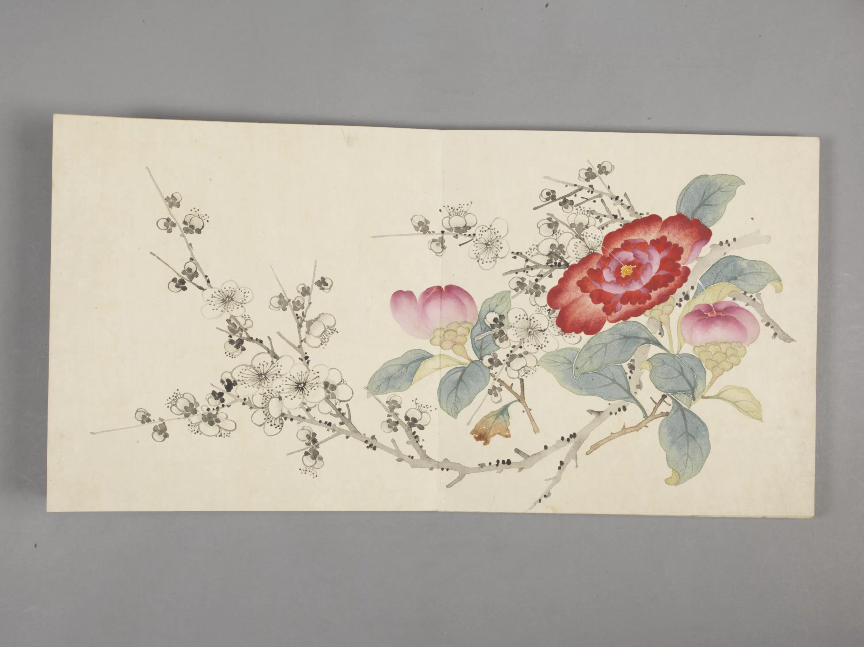 清代【董诰】《花卉小册(11开)》 第10张 清代【董诰】《花卉小册(11开)》 第10张