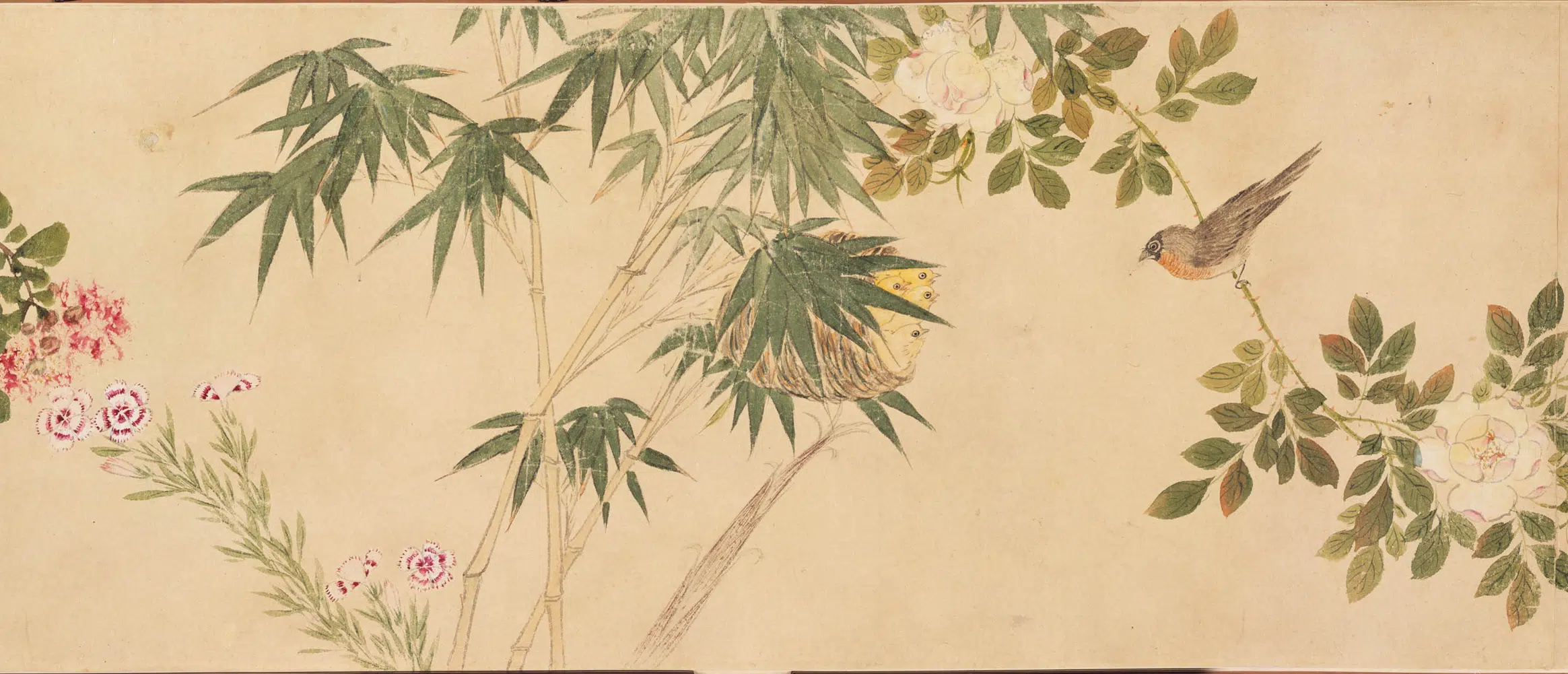明朝【周之冕】《设色花鸟卷》 第4张