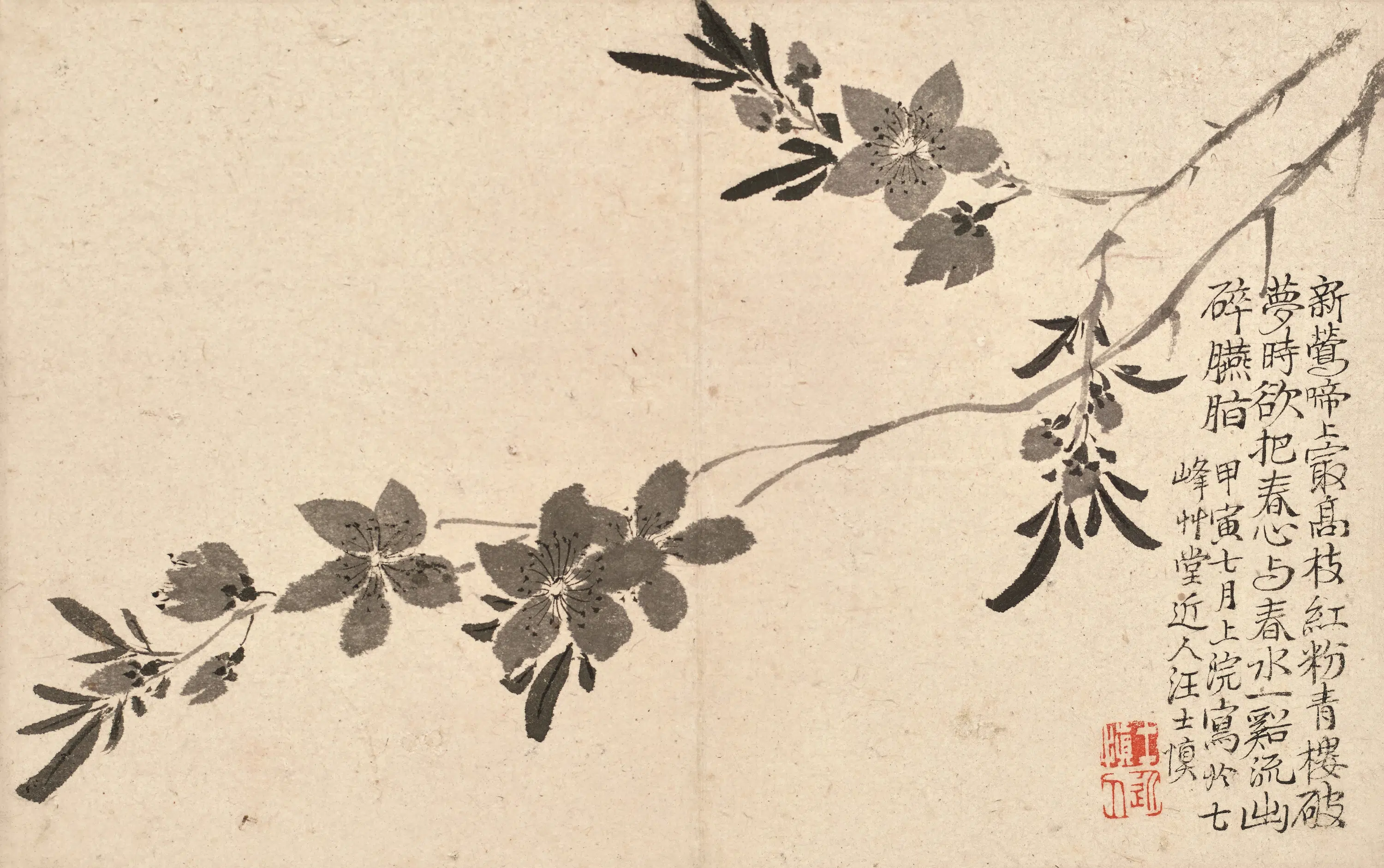 清代【汪士慎】《墨笔花卉图册》 第4张