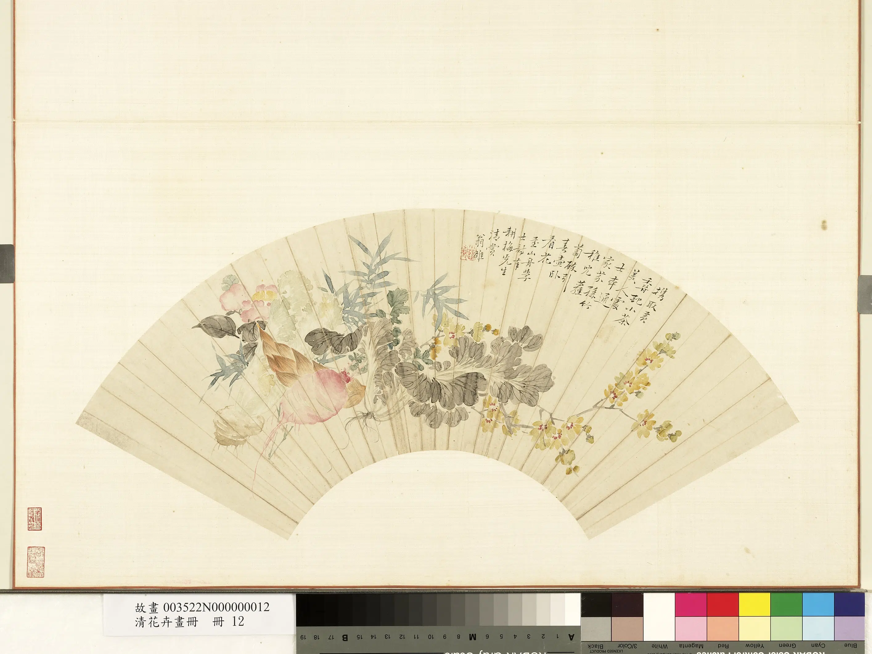 《花卉画册-8》 第9张