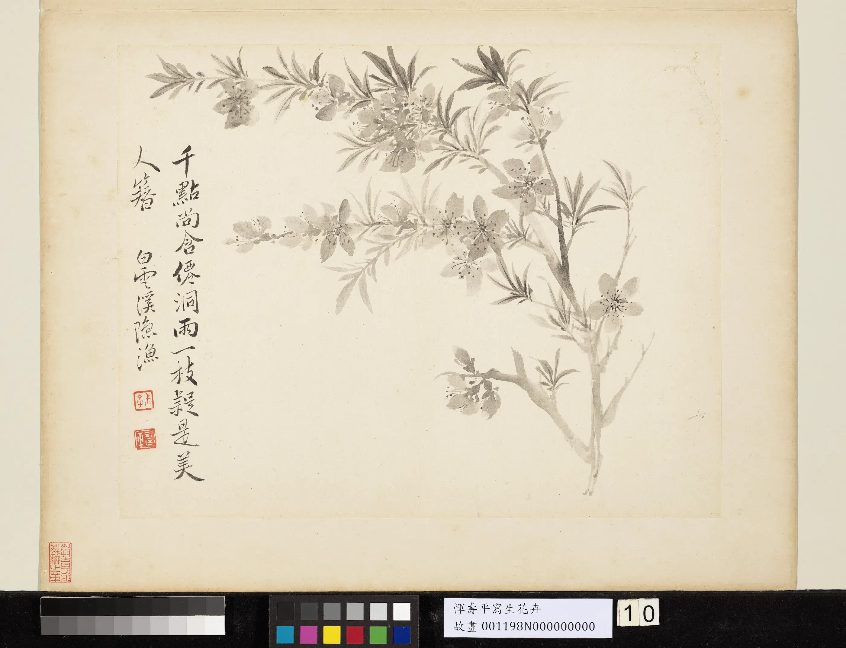 清代【恽寿平】《写生花卉册》 第3张 清代【恽寿平】《写生花卉册》 第3张