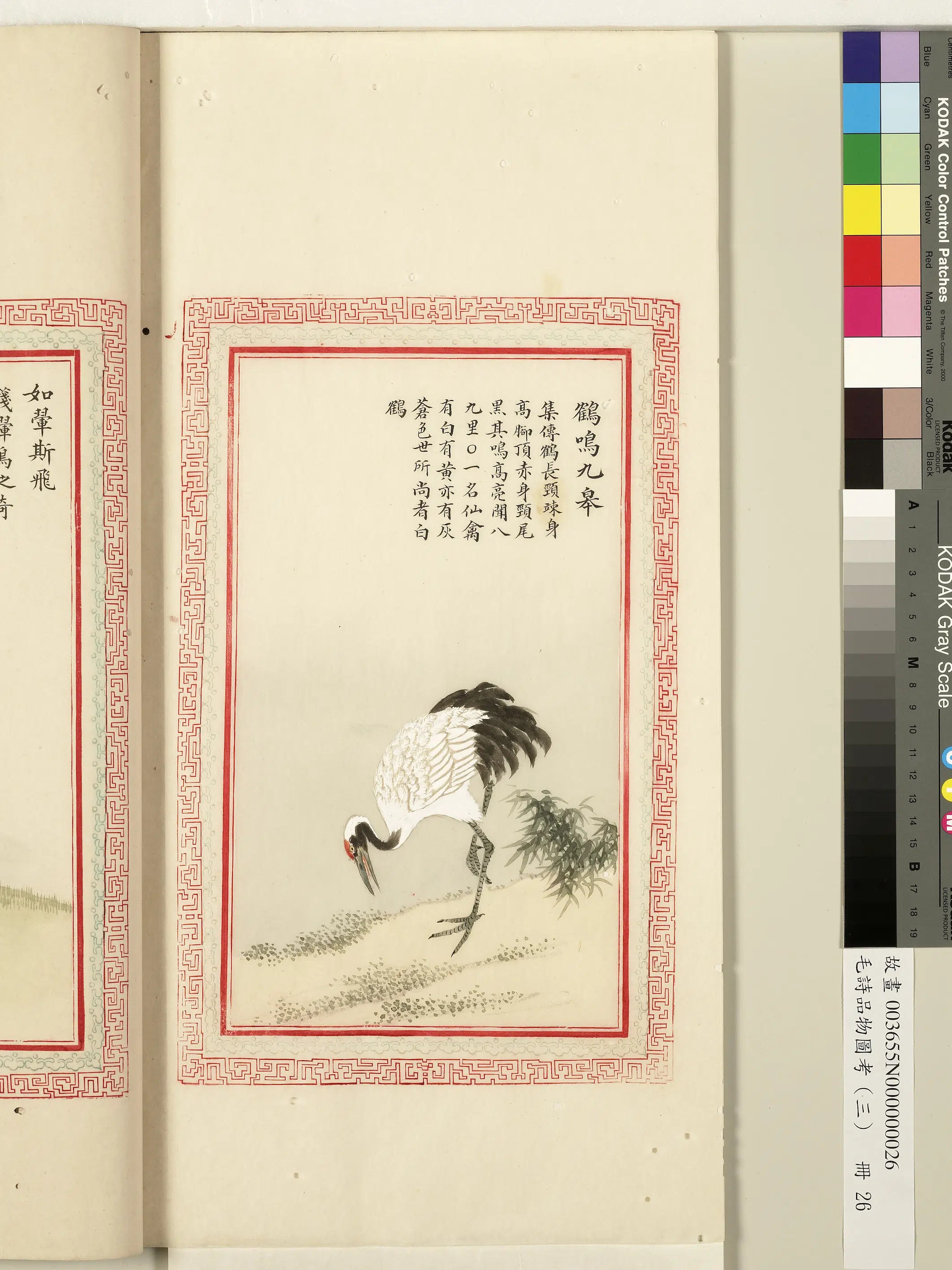 清代《毛诗品物图考(三)册-1》 第59张 清代《毛诗品物图考(三)册-1》 第59张