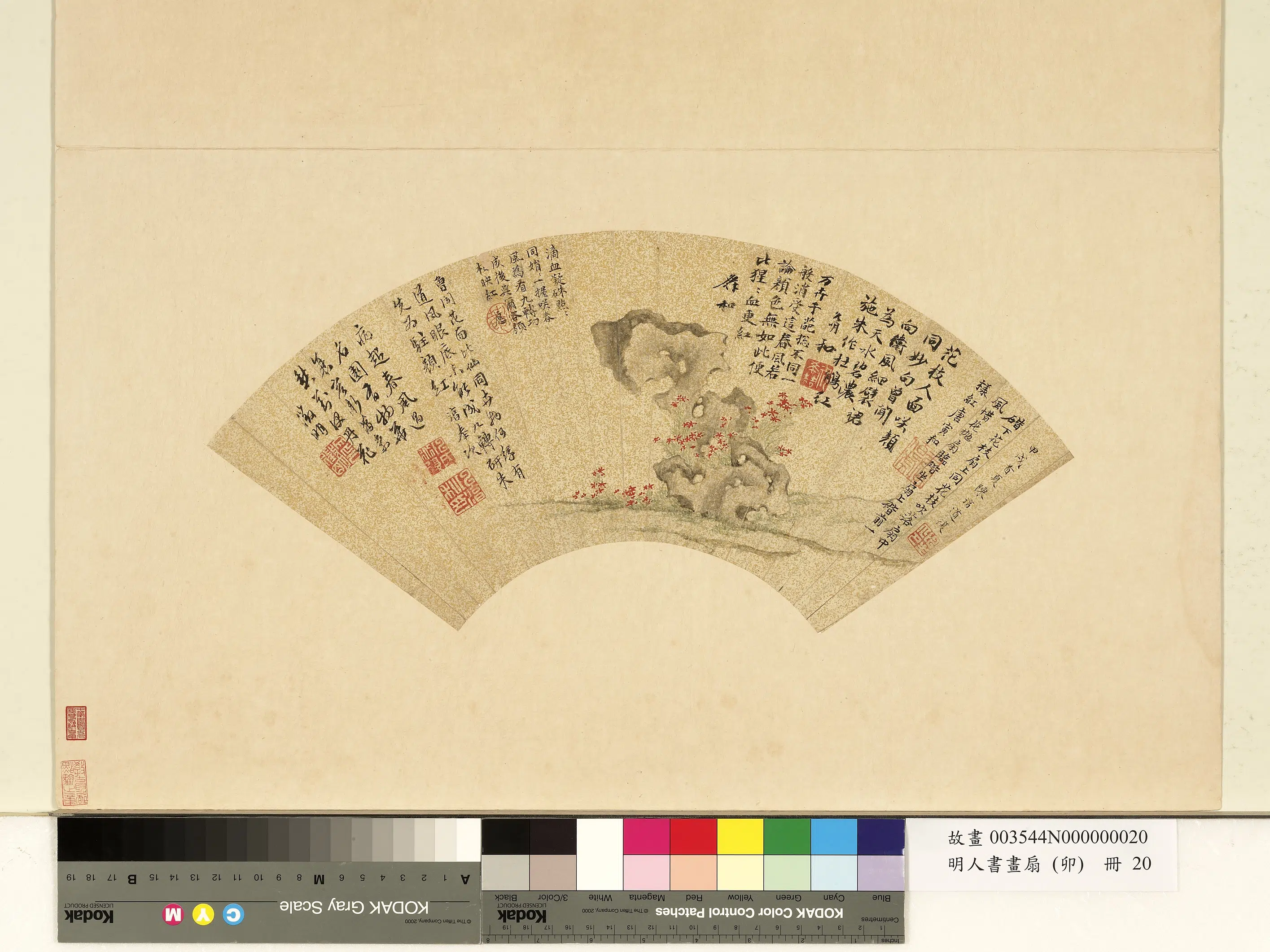 明朝【陈淳（道复）】《明人书画扇（卯）册-丹花奇石》