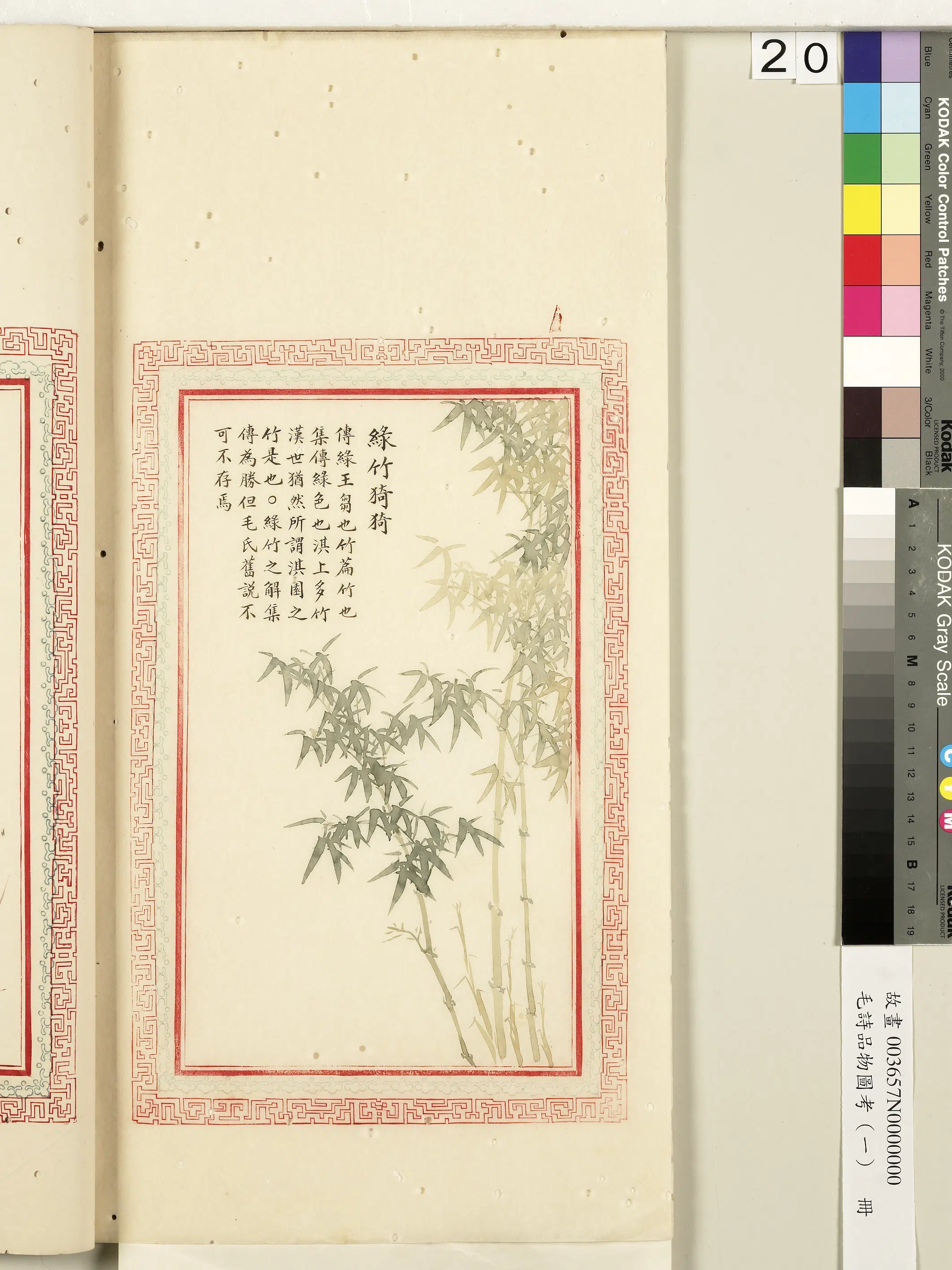 清朝《毛诗品物图考(一)册-2》 第38张 清朝《毛诗品物图考(一)册-2》 第38张