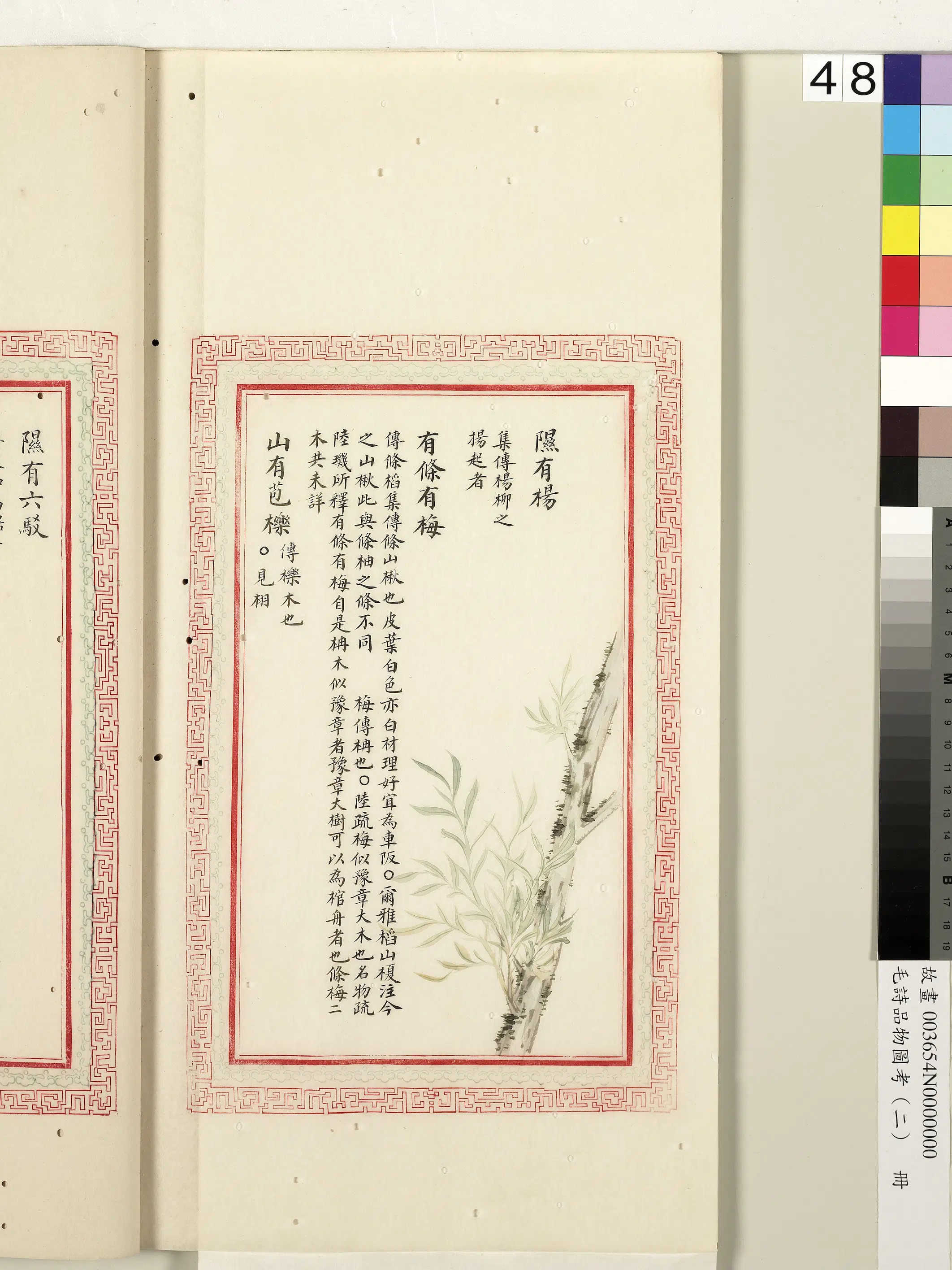 清朝【佚名】《毛诗品物图考（二）册-隰有杨有条有梅山有苞栎-1》