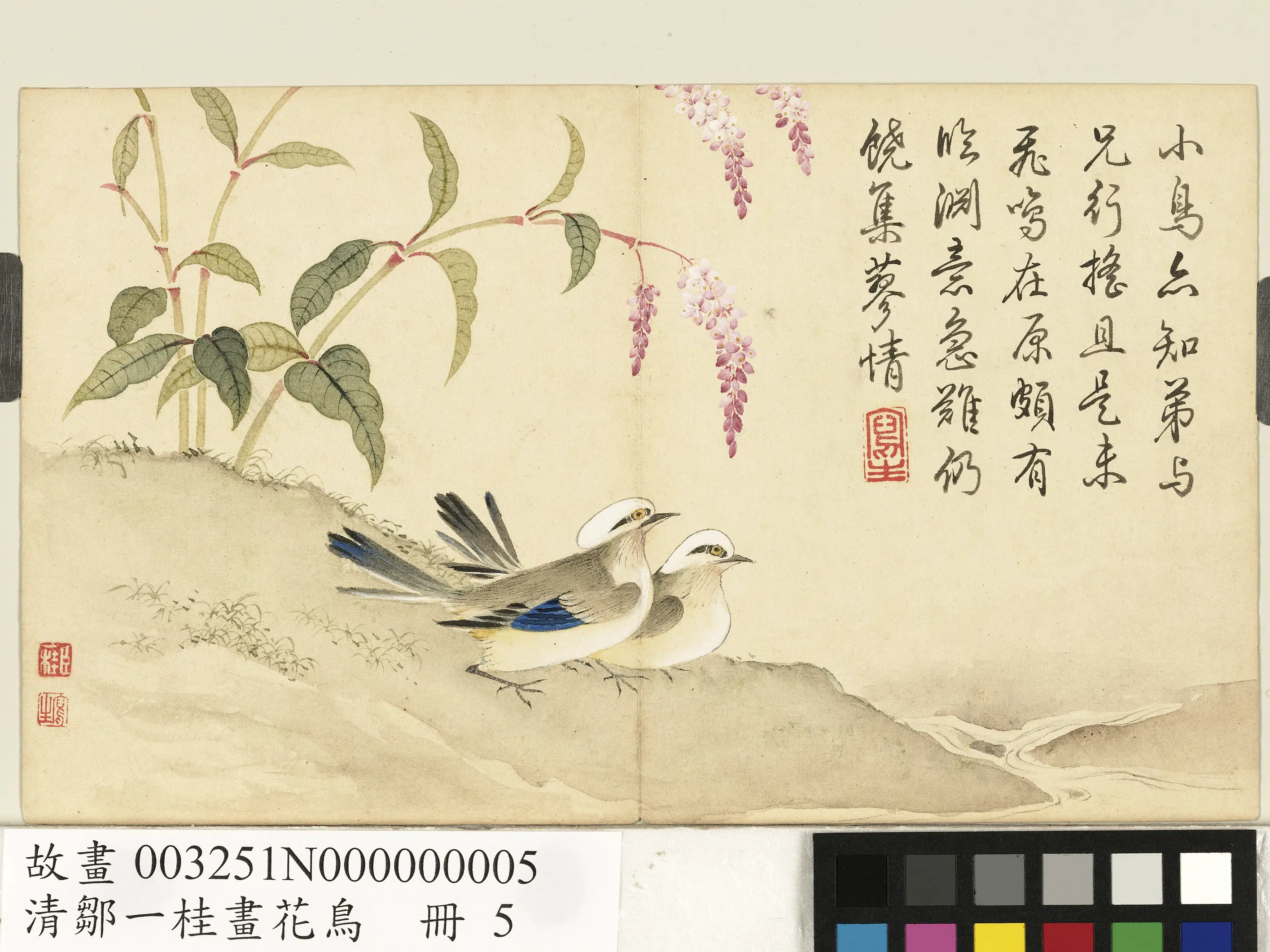 清代【邹一桂】《画花鸟册-红蓼鹡鸰》