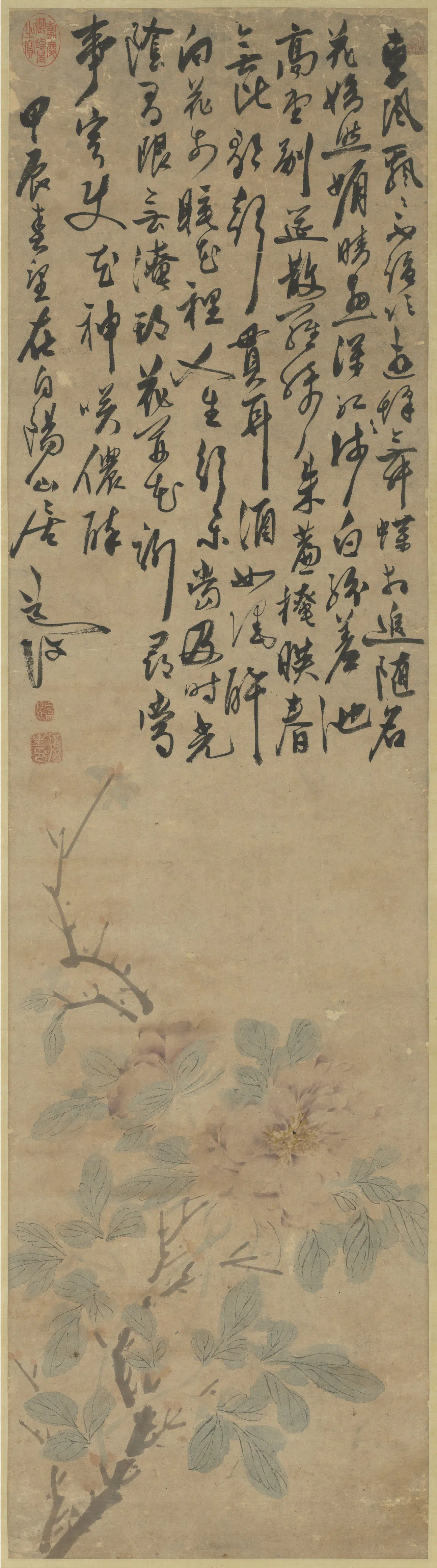 明朝【陈淳（道复）】《画牡丹图轴》