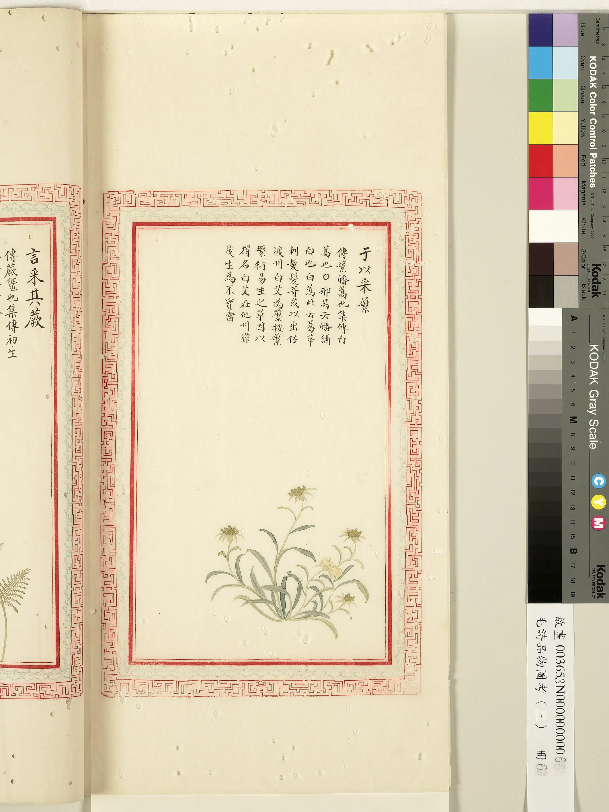 清代《毛诗品物图考(一)册-1》 第7张 清代《毛诗品物图考(一)册-1》 第7张