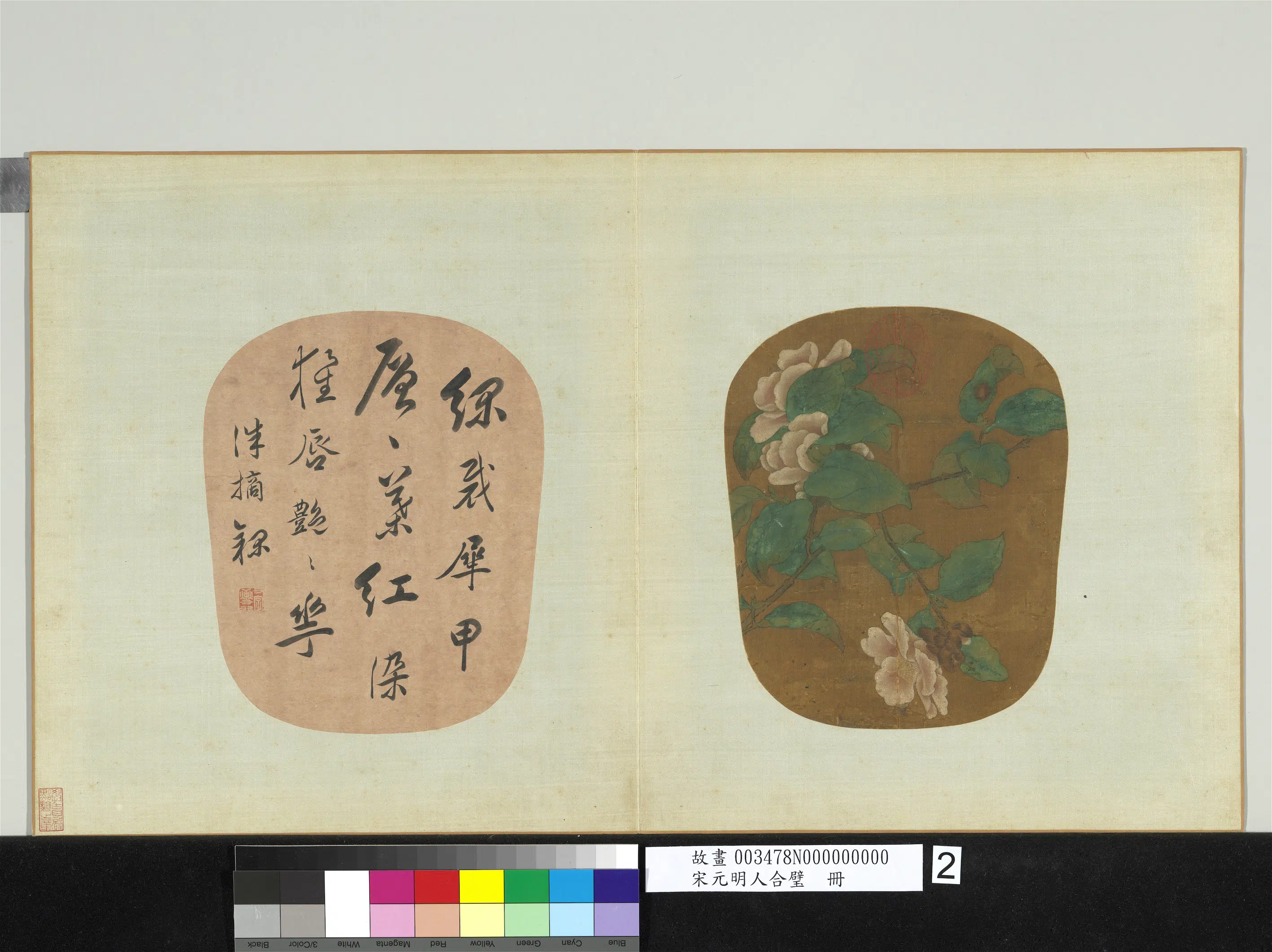 宋代《宋元明人合璧册-无款山茶》