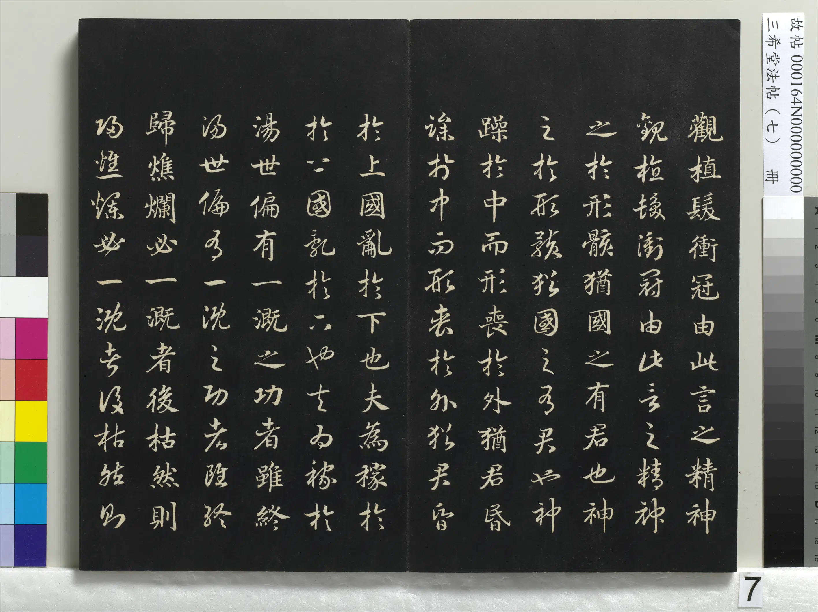 南宋【赵构-宋高宗】《三希堂法帖(七)册-宋高宗真草书嵇康养生论-1》 第20张 南宋【赵构-宋高宗】《三希堂法帖(七)册-宋高宗真草书嵇康养生论-1》 第20张