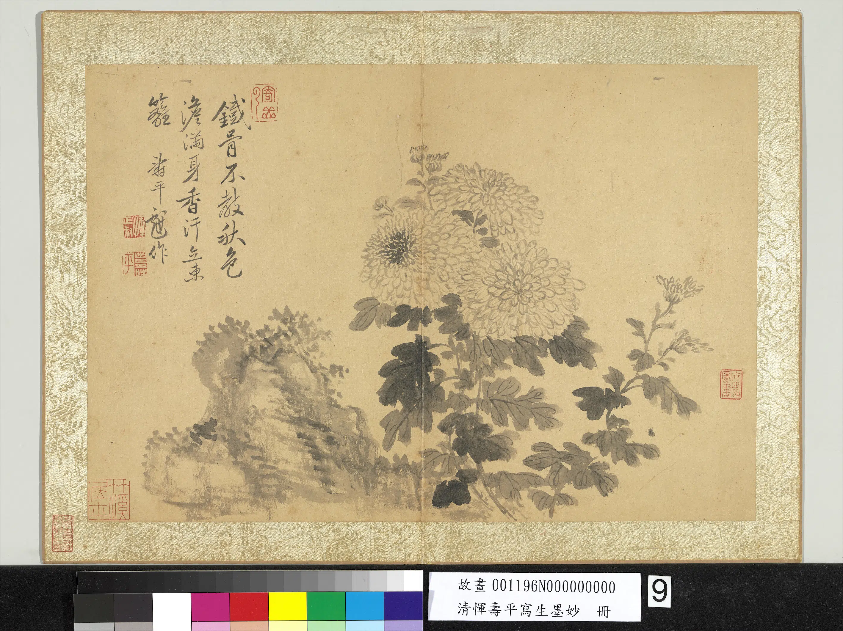 清代【恽寿平】《写生墨妙册-菊花》