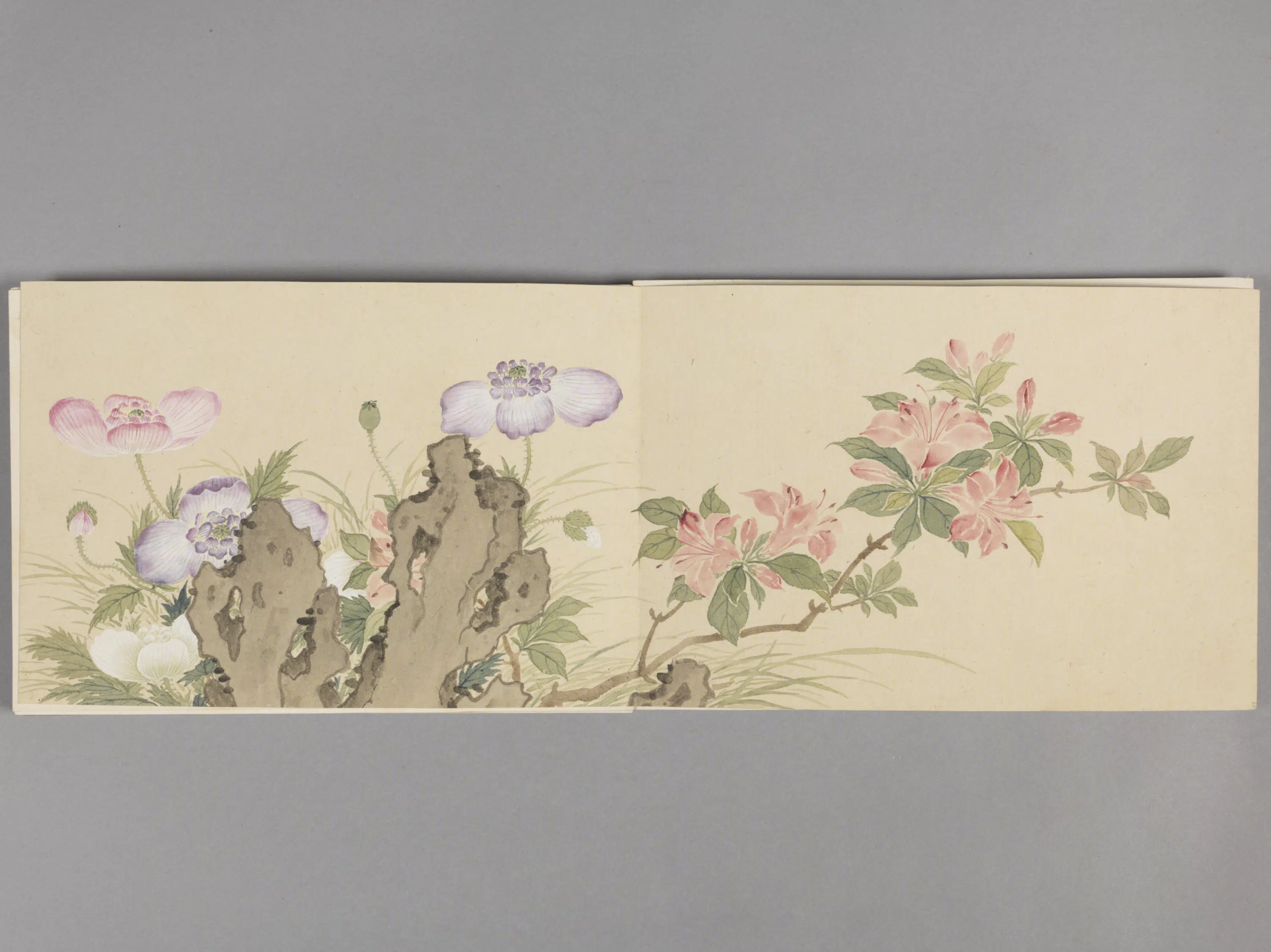 清代【董诰】《花卉册（8开）》 第3张