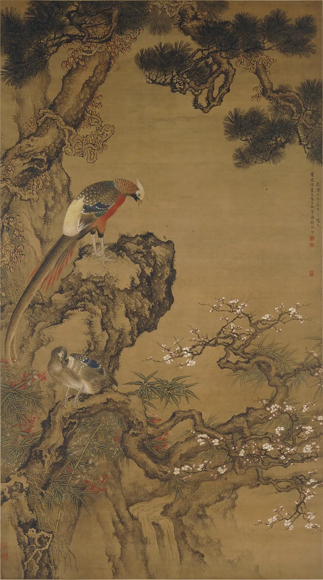 清代【沈铨】《锦鸡图轴》