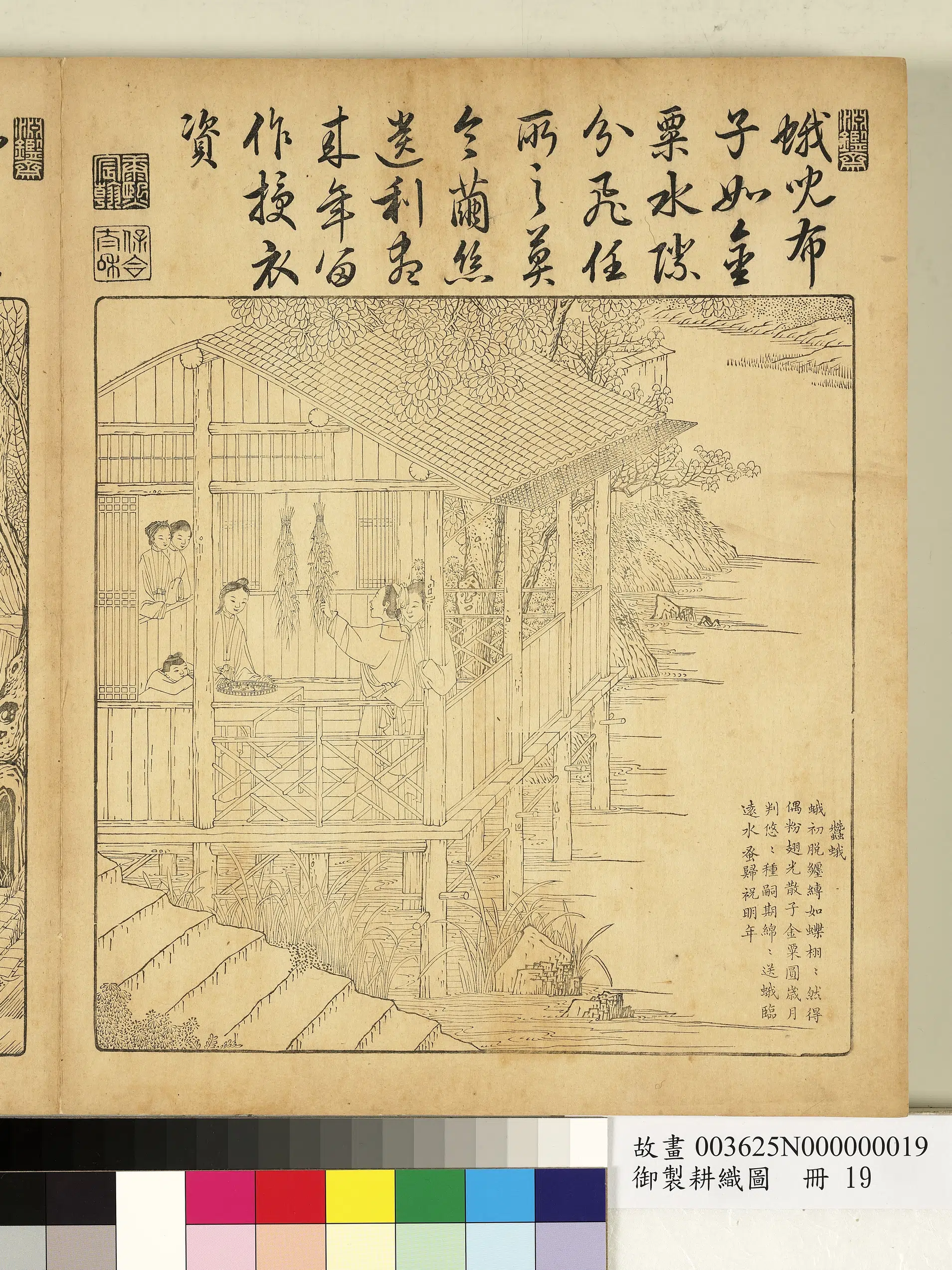 清代【焦秉贞】《御制耕织图册-蚕蛾（朱圭镌刻）》