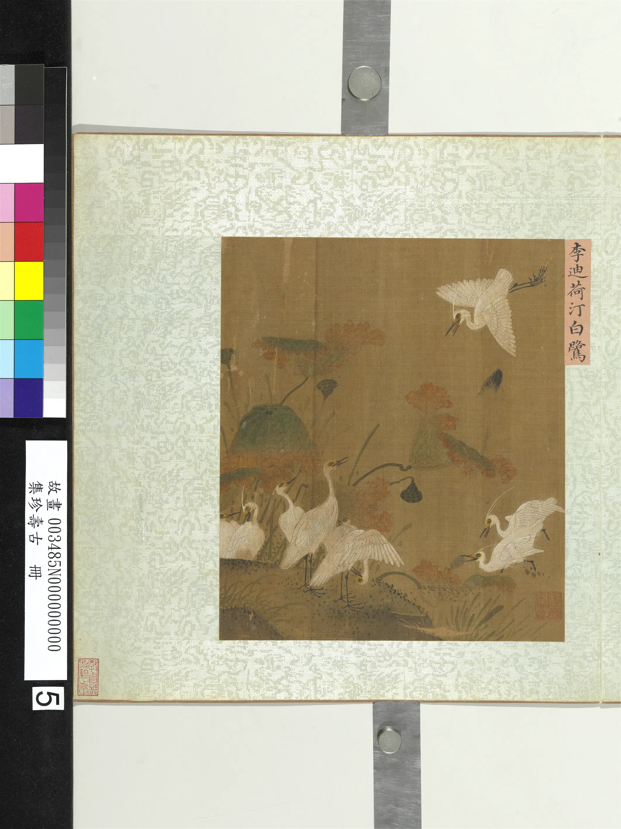 南宋【李迪】《集珍寿古册-荷汀白鹭》 第1张 南宋【李迪】《集珍寿古册-荷汀白鹭》 第1张
