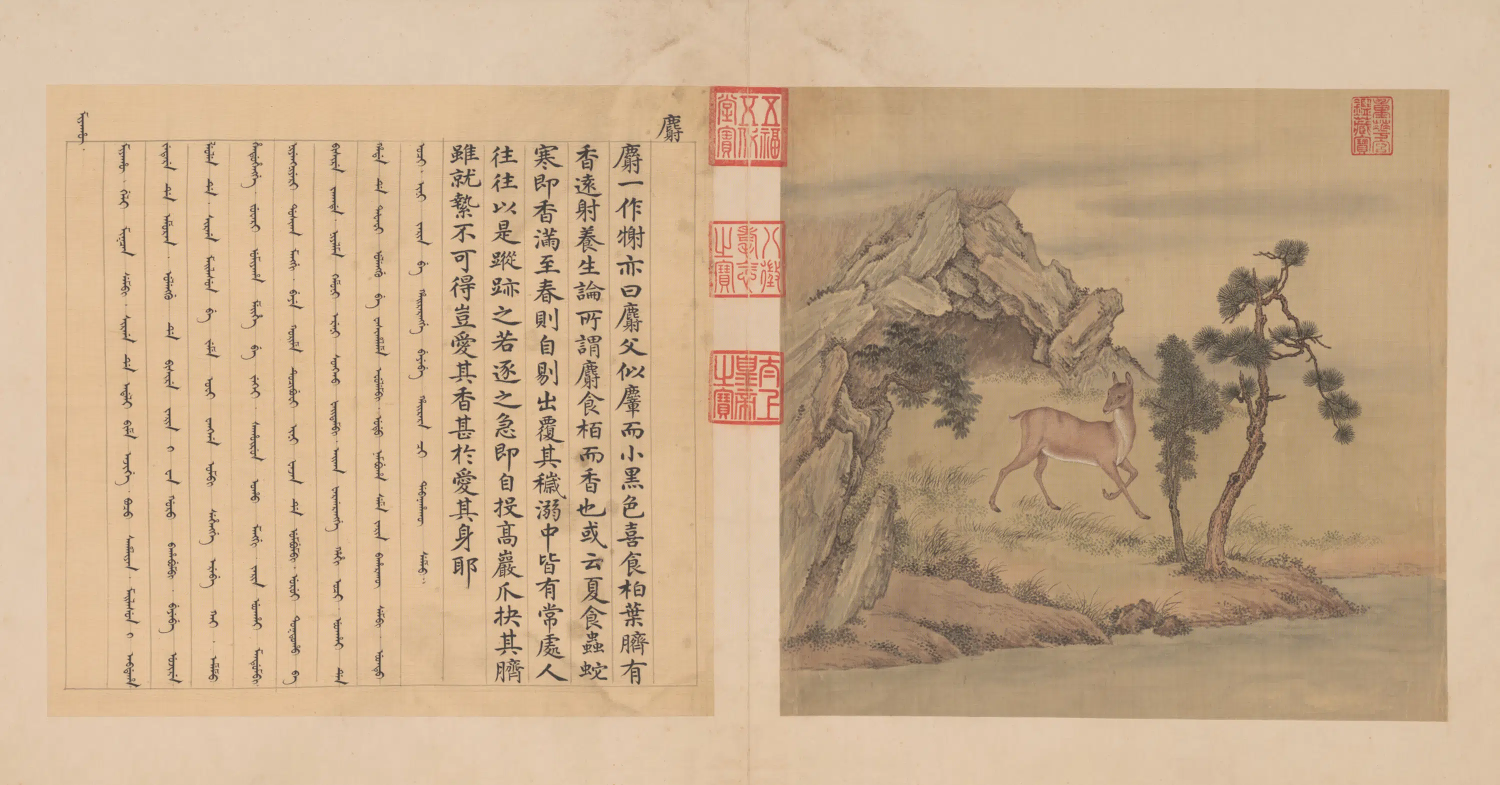清代【张为邦】《余省合画兽谱册（6开）》 第2张