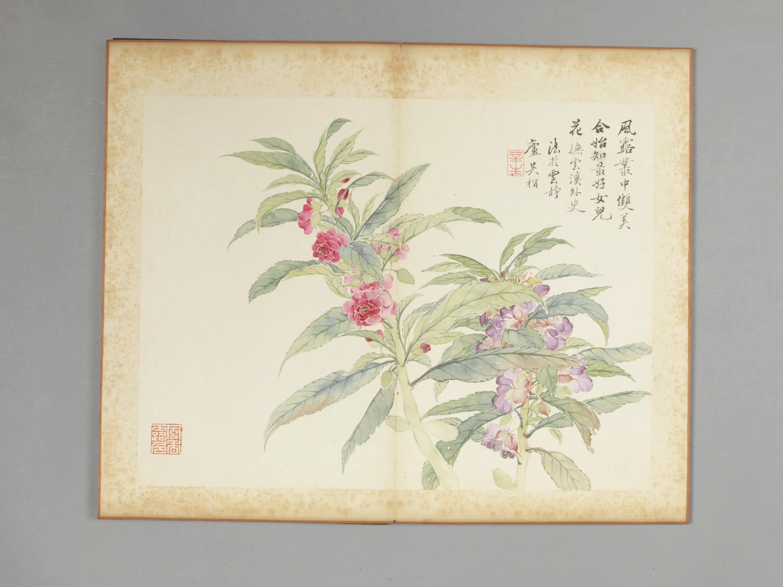 清代【吴楷】《花卉册》 第3张