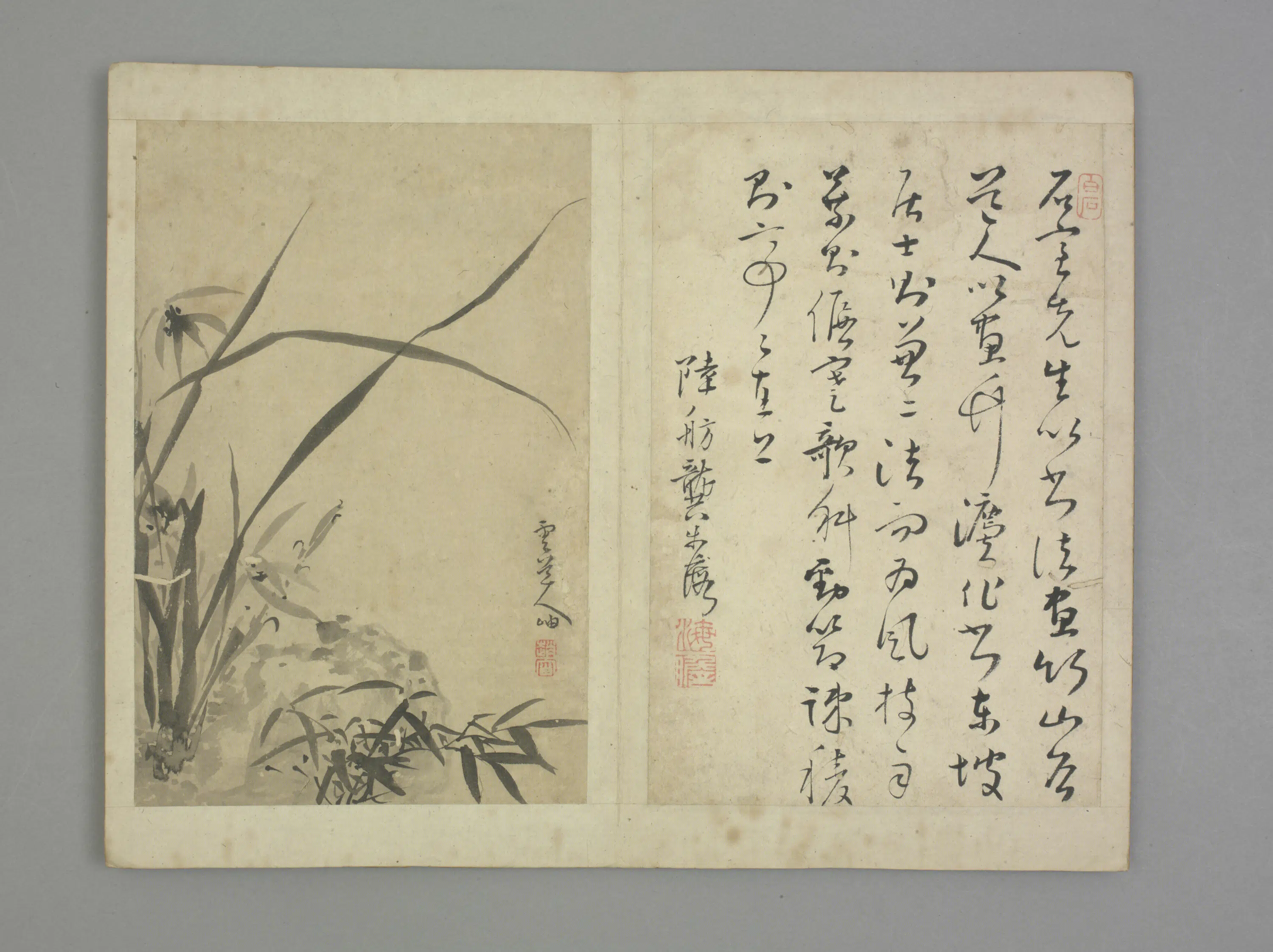 元朝【赵岫】《清初十四家书画集锦册-兰竹册页》