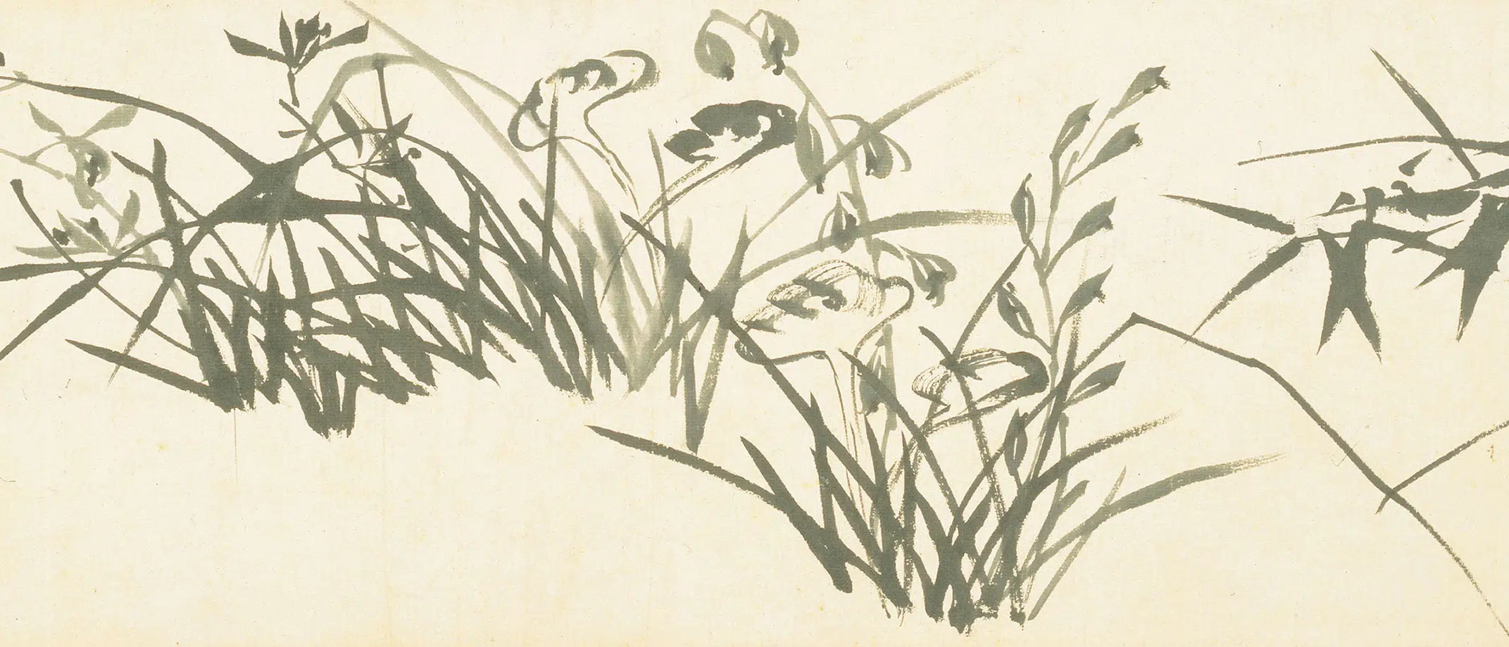 清代【郑板桥（郑燮）】《兰花竹石图卷》 第7张