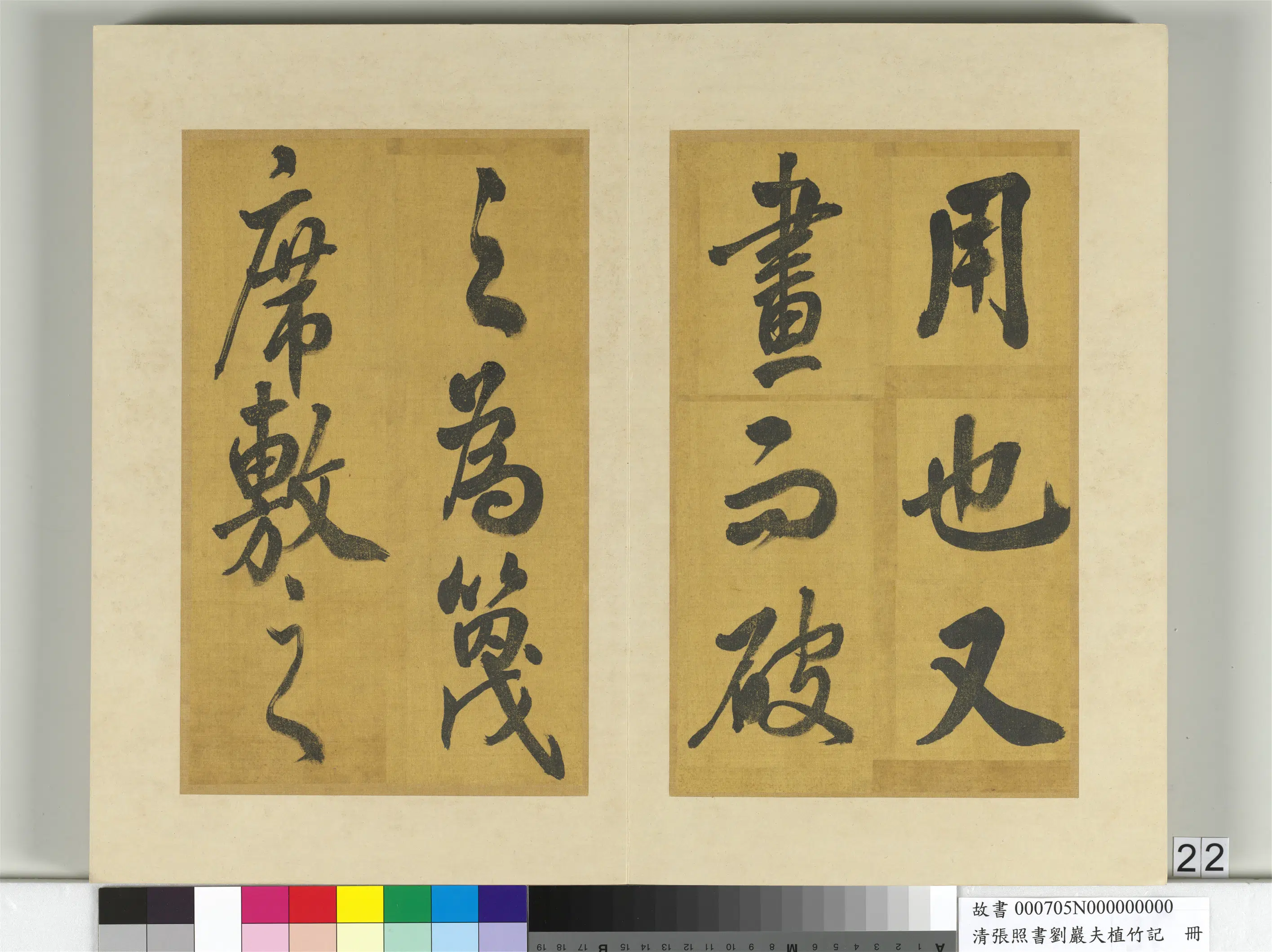 清代【张照】《书刘岩夫植竹记册》 第15张