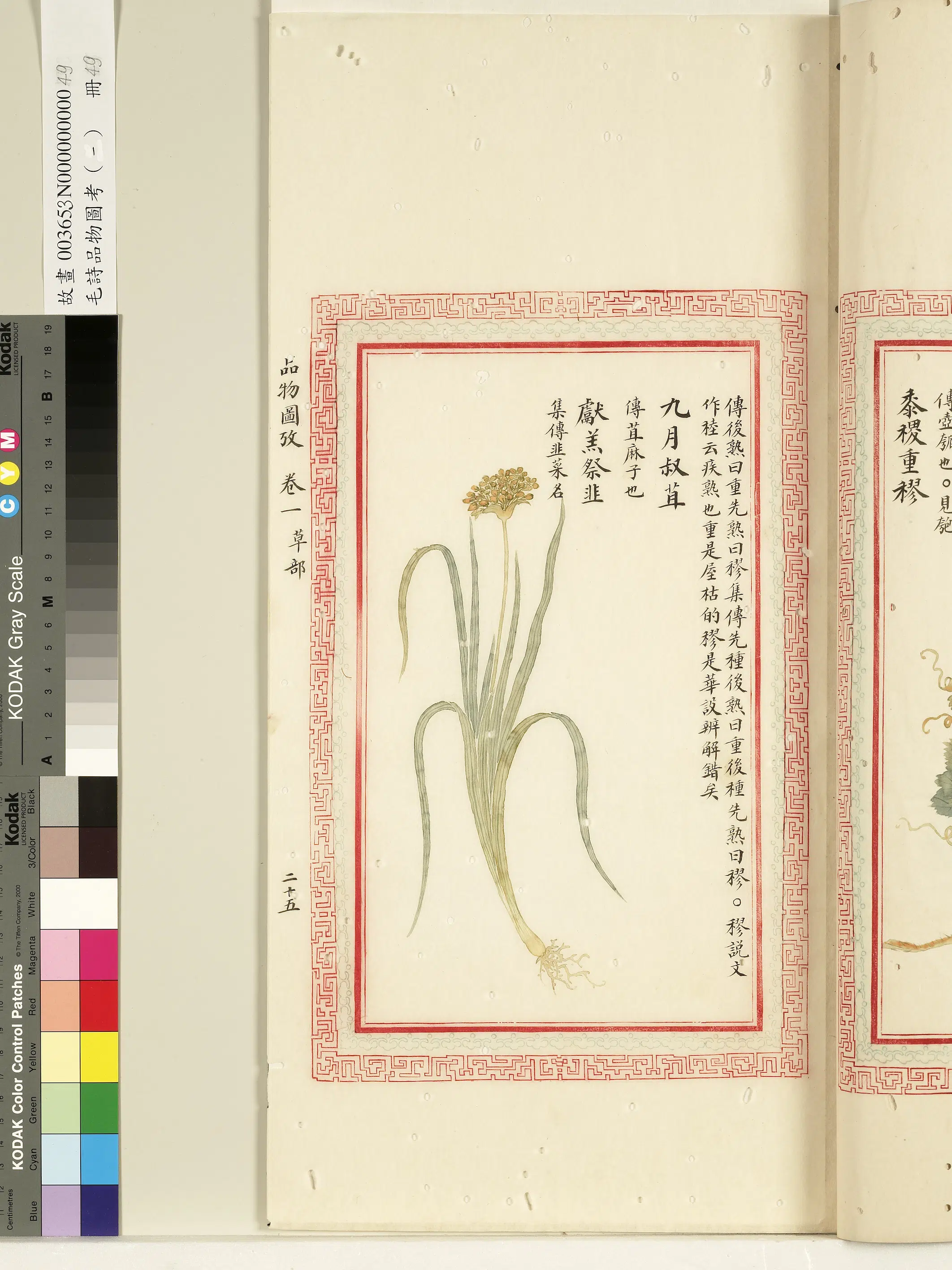 清代《毛诗品物图考(一)册-1》 第6张 清代《毛诗品物图考(一)册-1》 第6张