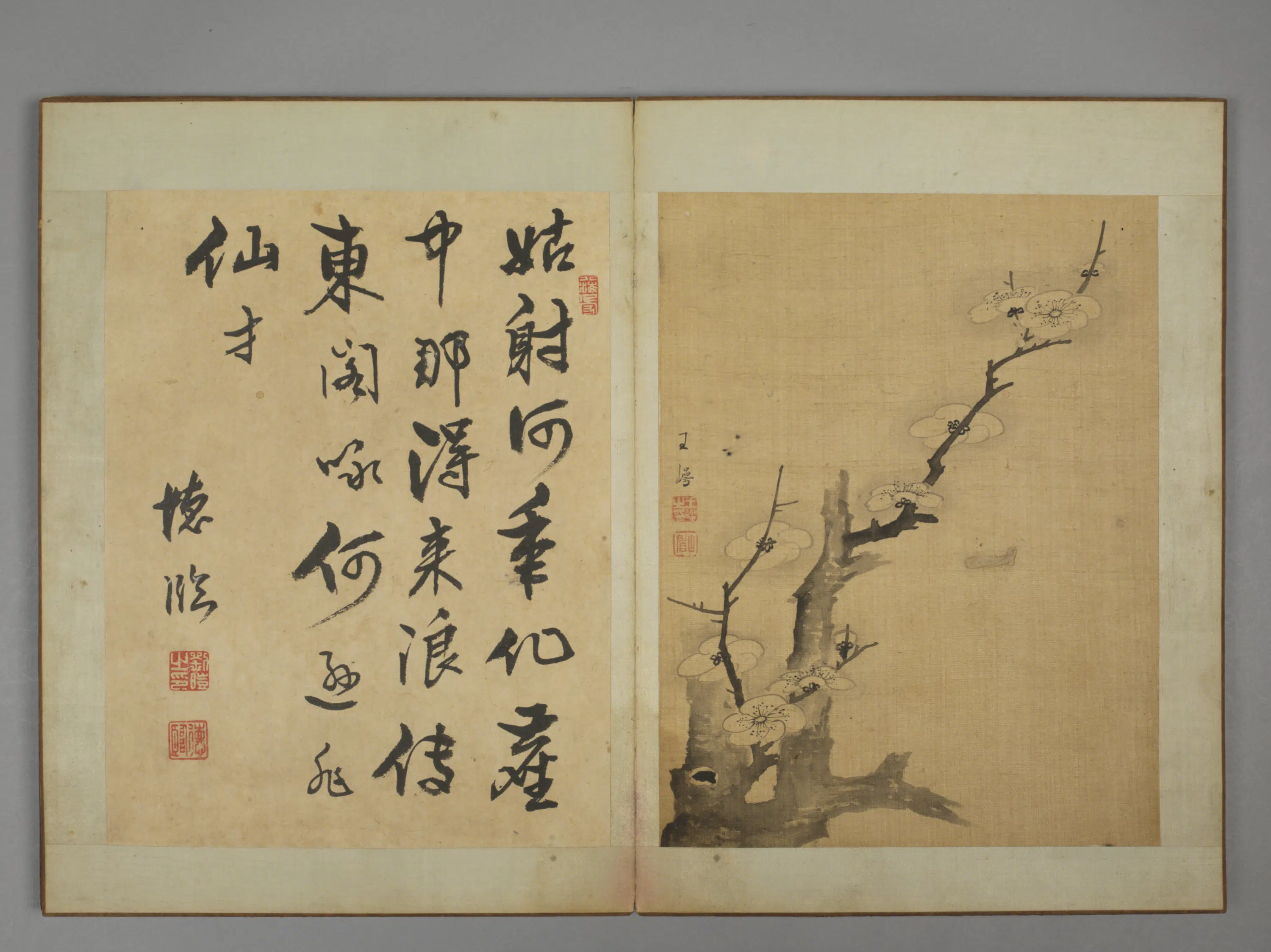 清代【王崿】《竹石册》 第2张