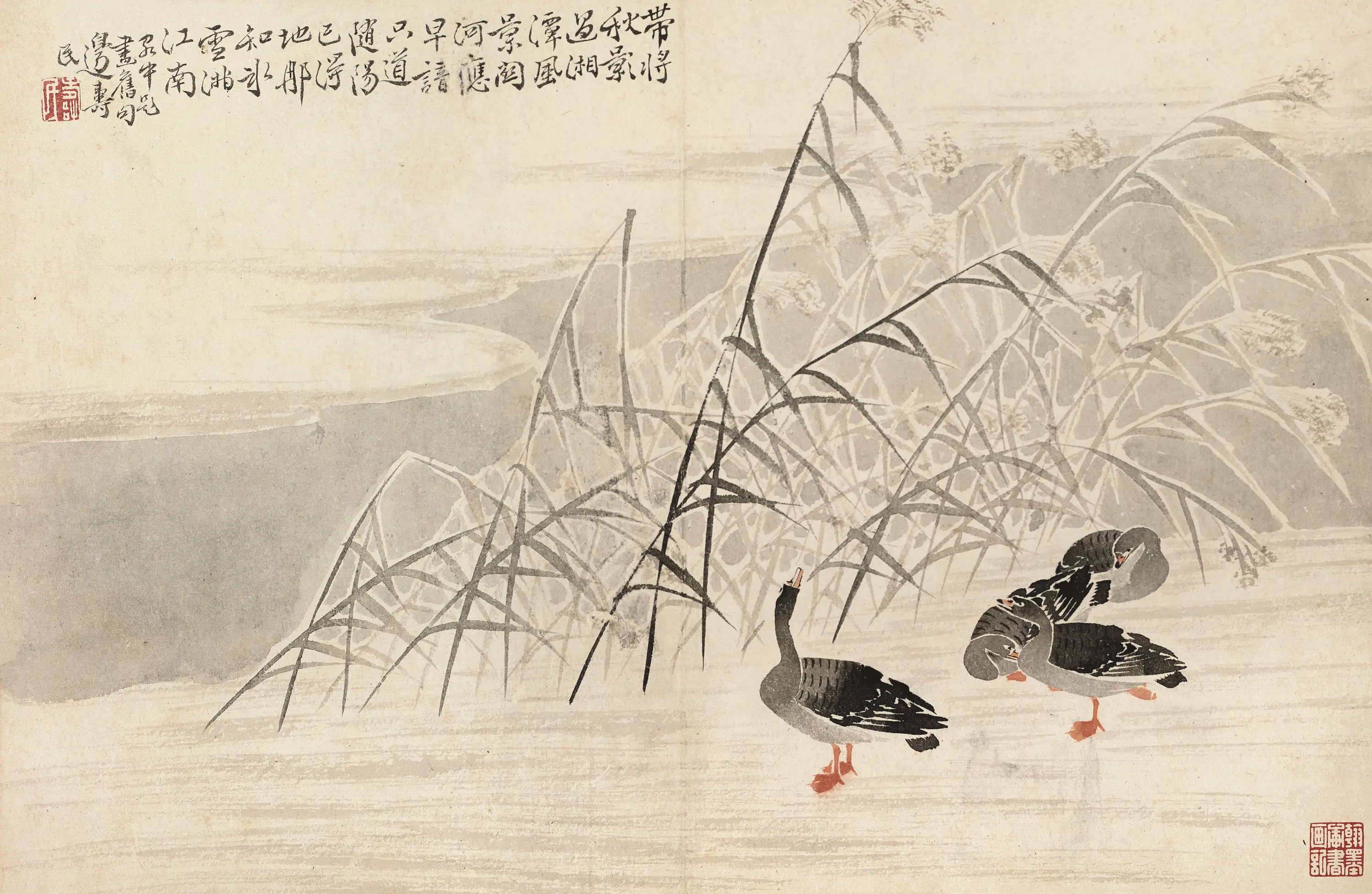 清代【边寿民】《芦雁图册》 第10张