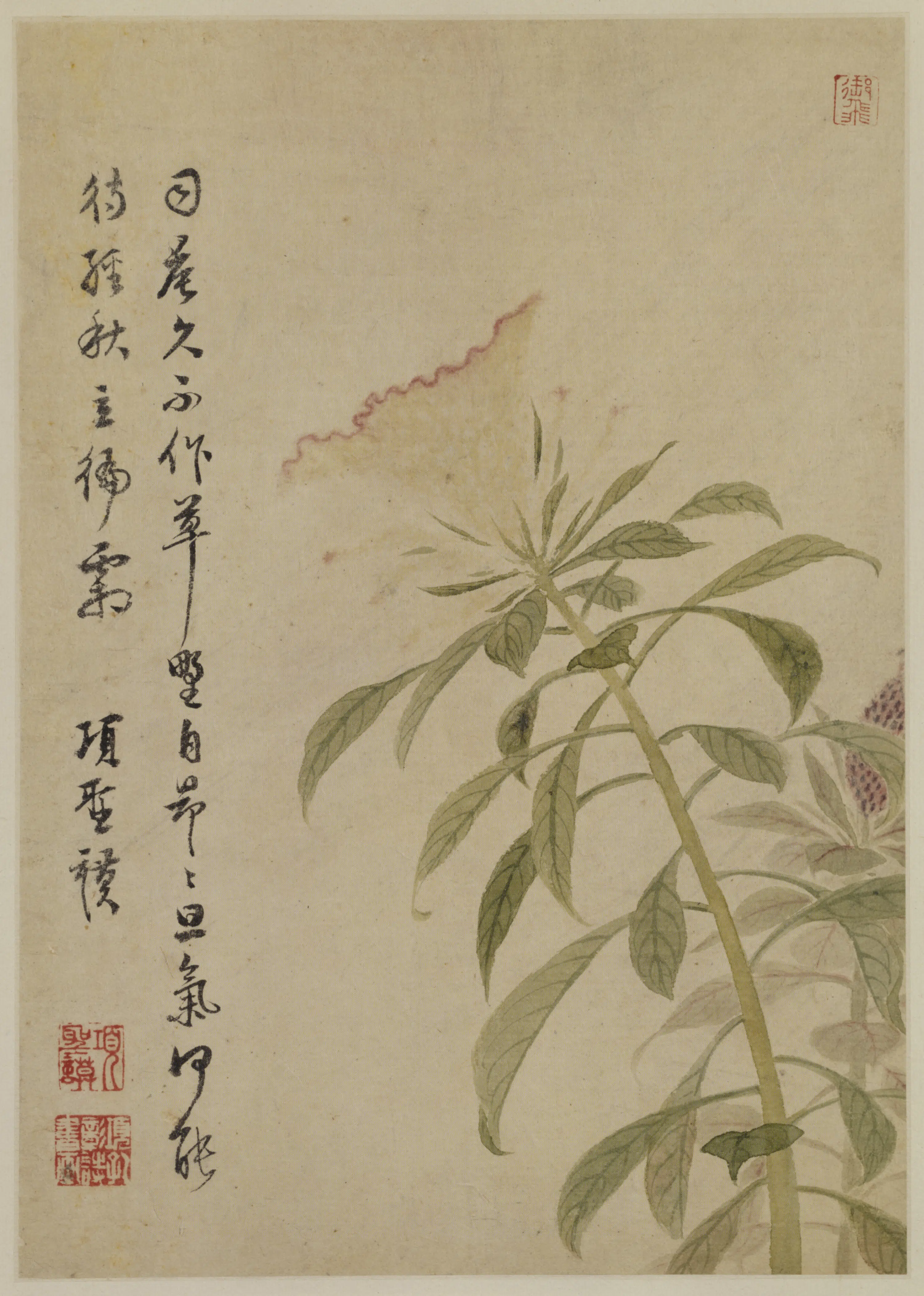明朝【项圣谟】《山水花卉册（8开）》 第6张