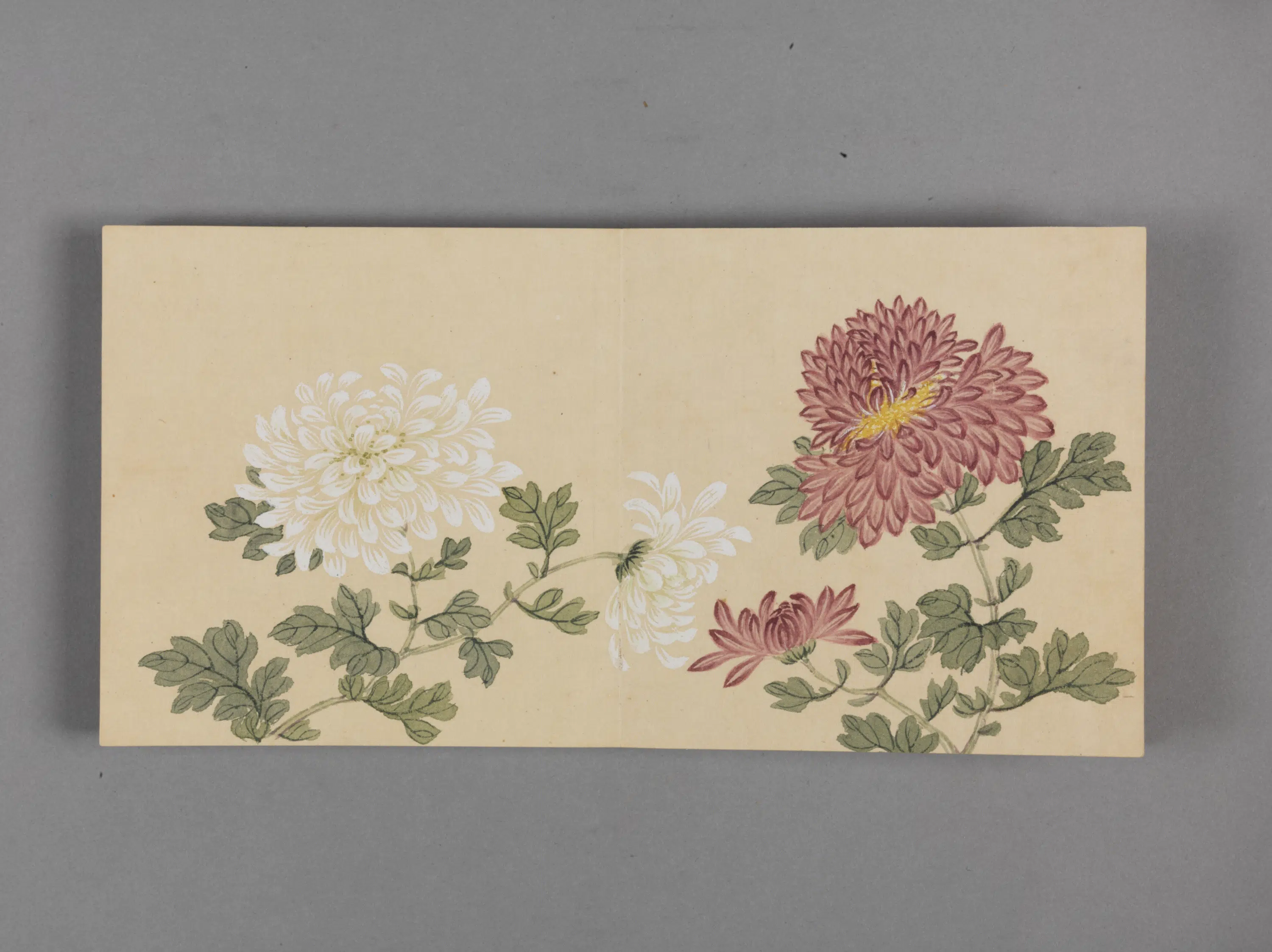 清代【董诰】《陶篱益寿图小册(10开)》 第9张 清代【董诰】《陶篱益寿图小册(10开)》 第9张