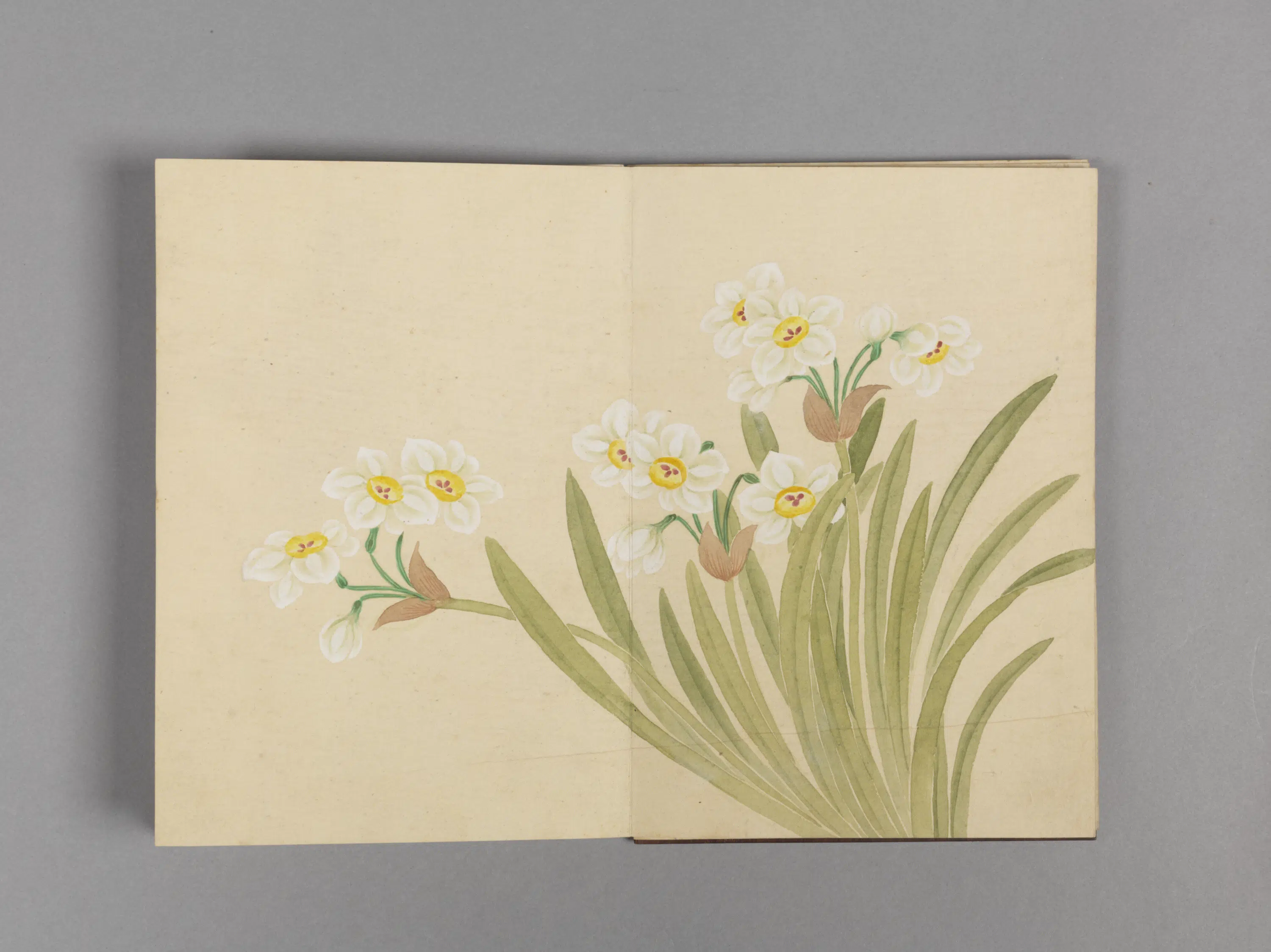 清代【董诰】《花卉小册（16开）》 第11张